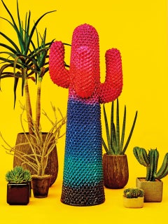Psychodelic Cactus