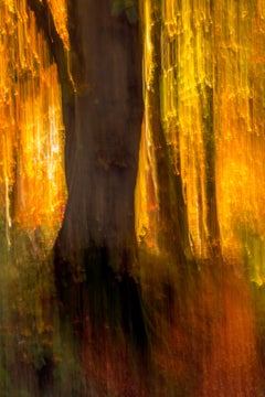 Molten - 21st Century, Archival Pigment Print, Contemporary B&W photography