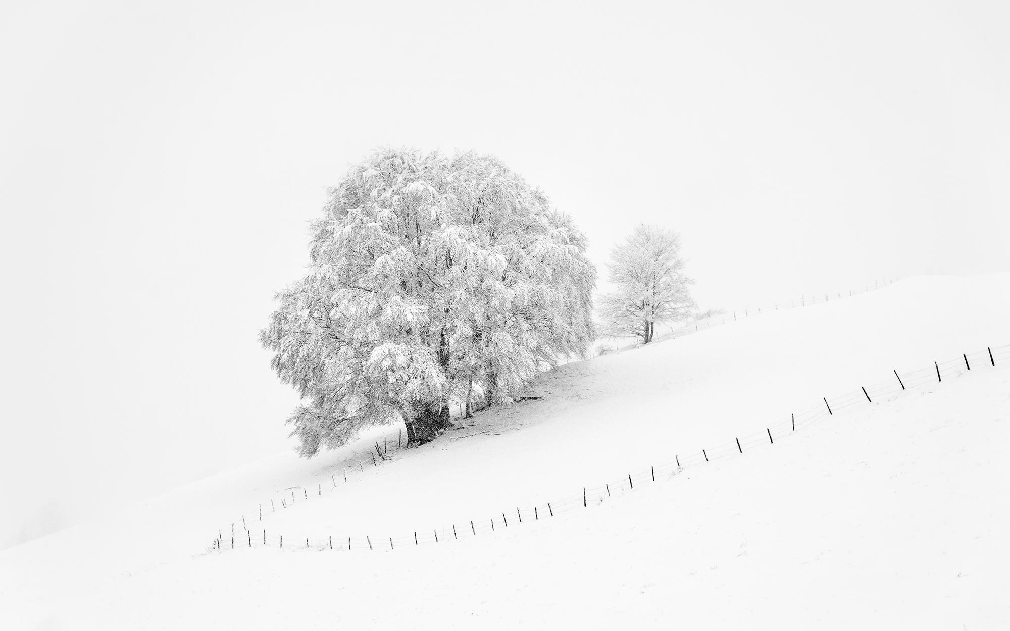 Adriana Benetti Longhini Landscape Photograph - My Lady in White- 21st Century Contemporary Landscape photography