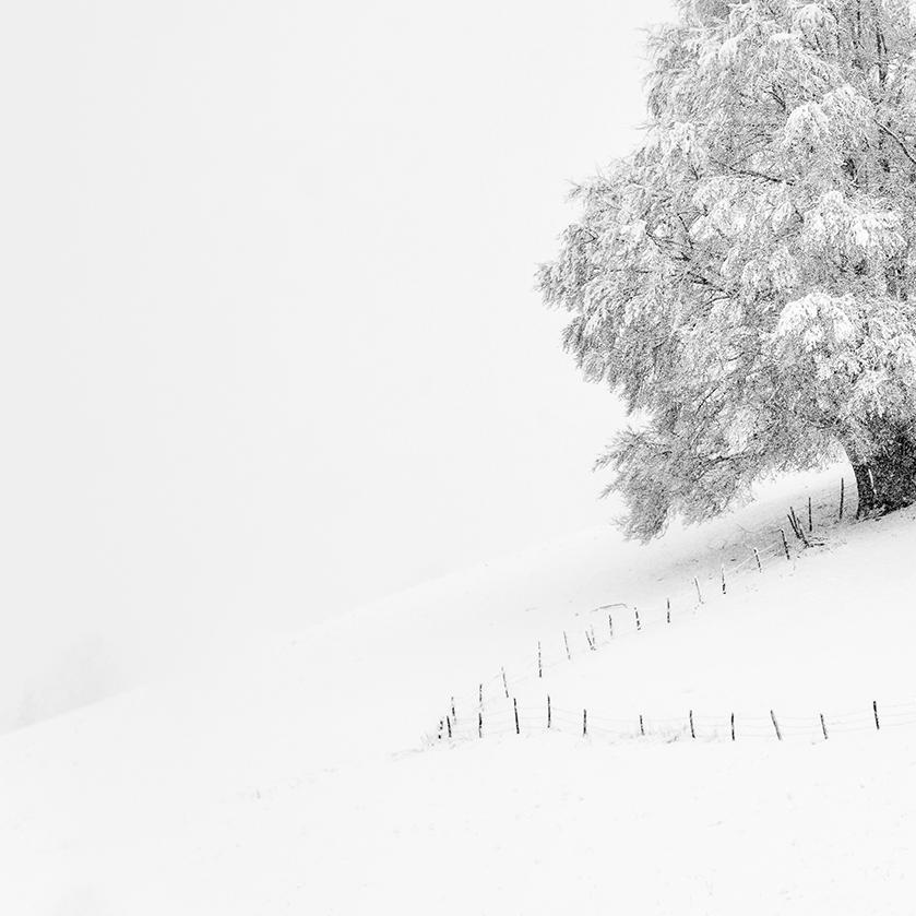 My Lady in White- 21st Century Contemporary Landscape photography - Photograph by Adriana Benetti Longhini