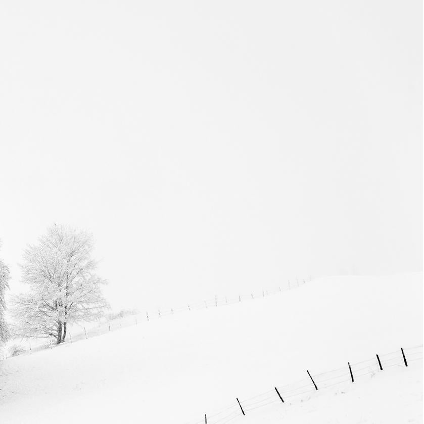 My Lady in White- 21st Century Contemporary Landscape photography - Naturalistic Photograph by Adriana Benetti Longhini