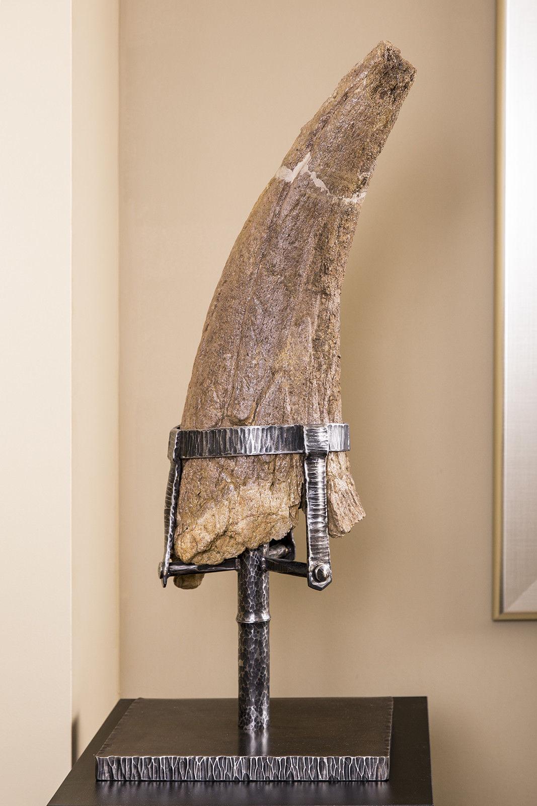 You are looking at an authentic triceratops horn that was found in Hell Creek.   This piece was further authenticated by Dr Bruce Erickson who was best known for finding one of the most complete tricertops skeltons' known to exist.  We personally