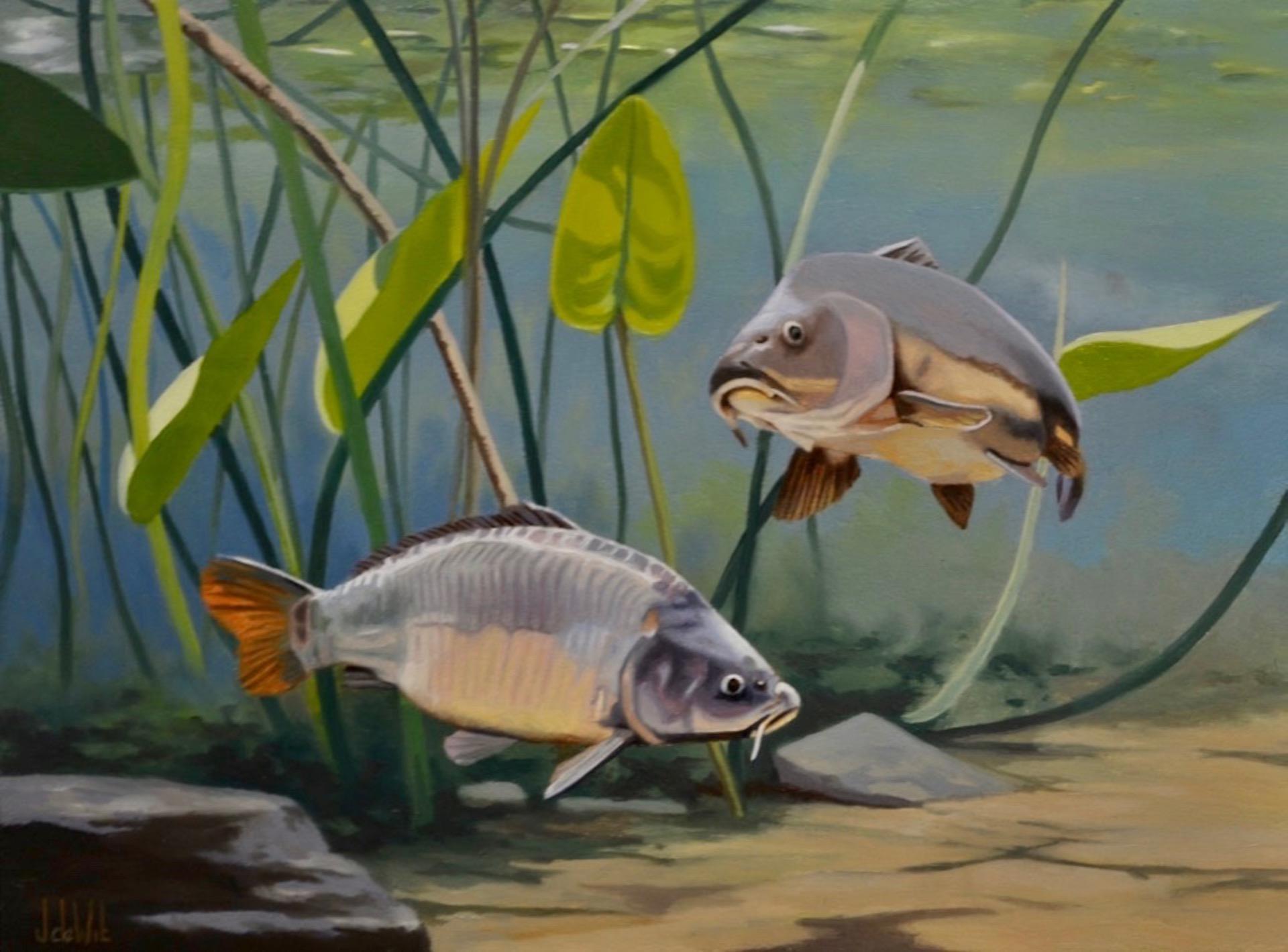 Jos de Wit Animal Painting - Cypri D3- 21st Century Contemporary Realistic Painting of two Fishes, Swimming