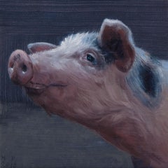 Small Pig's head- 21st Century Contemporary Animal Painting of a Pig