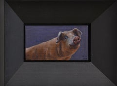 Pig- 21st Century Contemporary Animal Oil Painting of a Dutch Pig