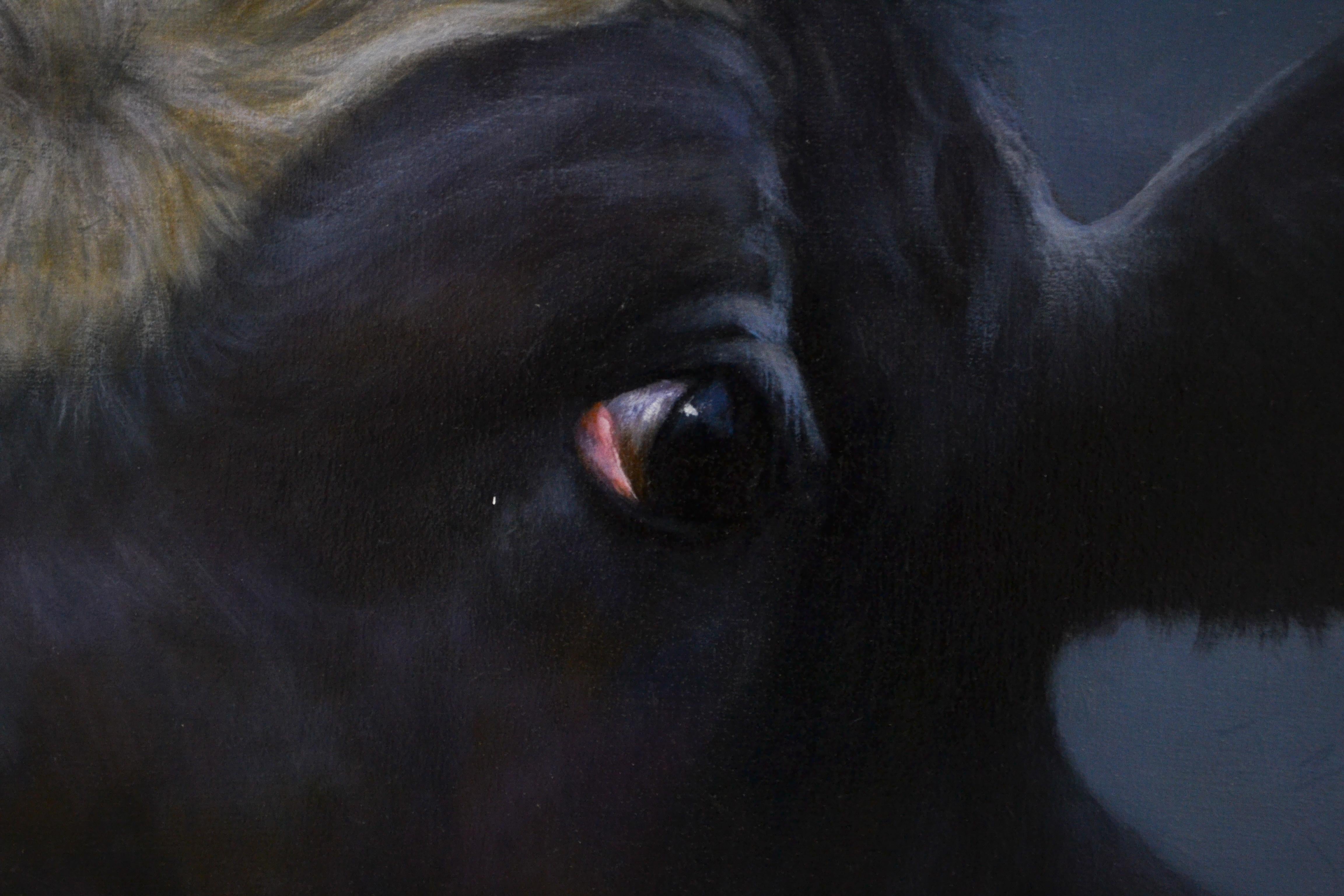 Portrait - Paul Jansen, 21st Century Contemporary Oil Painting, Animal Cow Calf 3