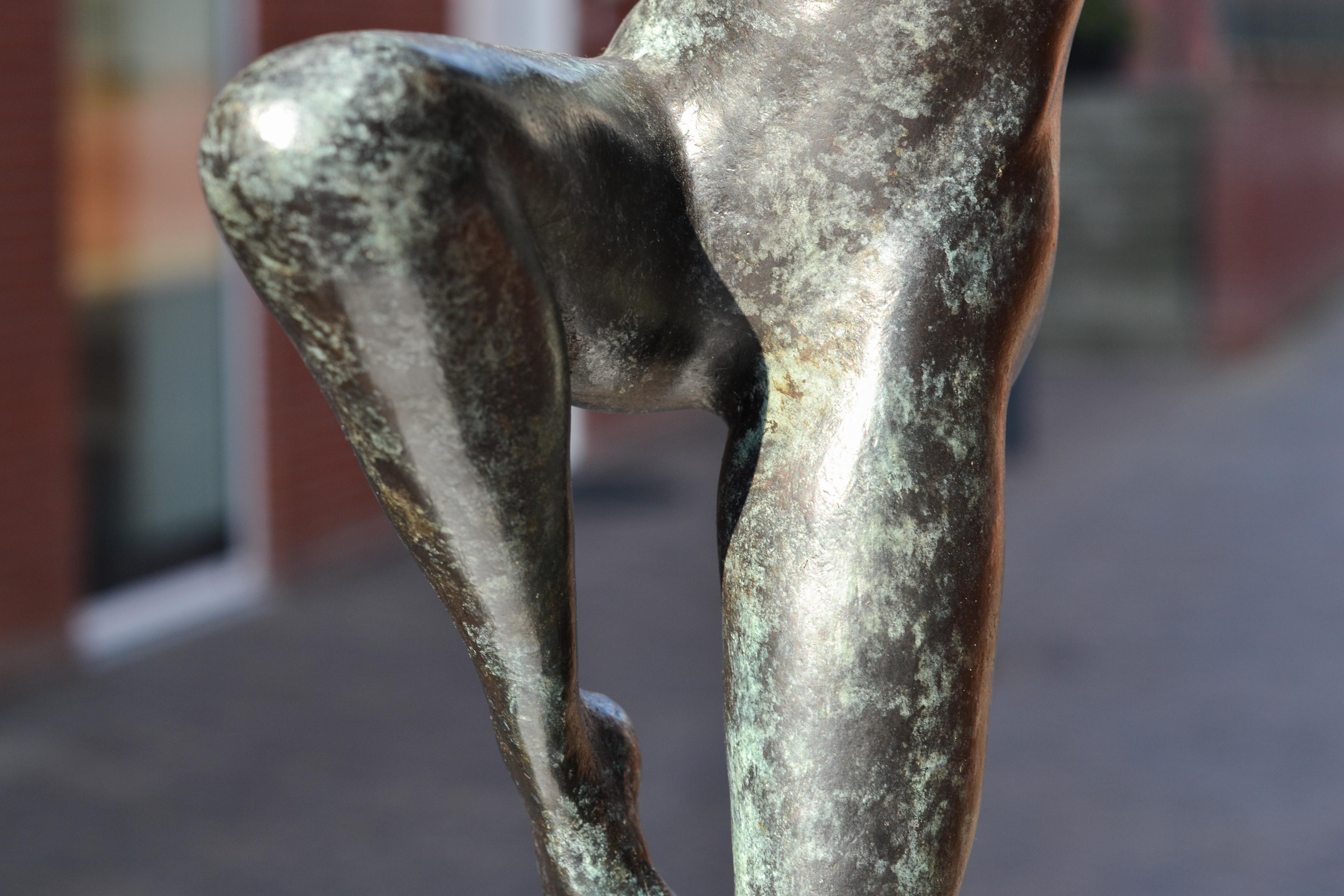 Freedom - Andries Velting 21st Century Contemporary Bronze Sculpture Patina  5