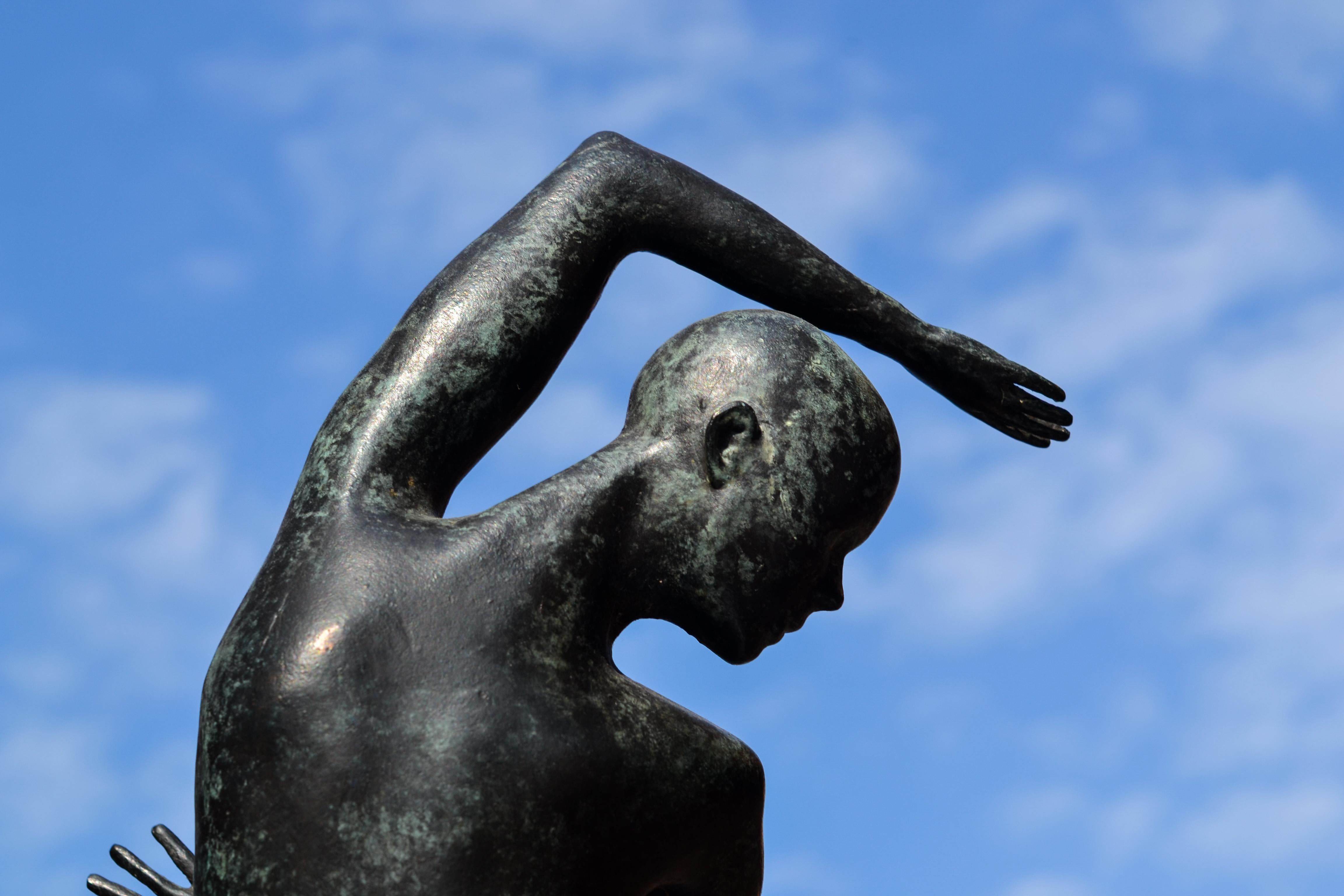 Freedom - Andries Velting 21st Century Contemporary Bronze Sculpture Patina  9