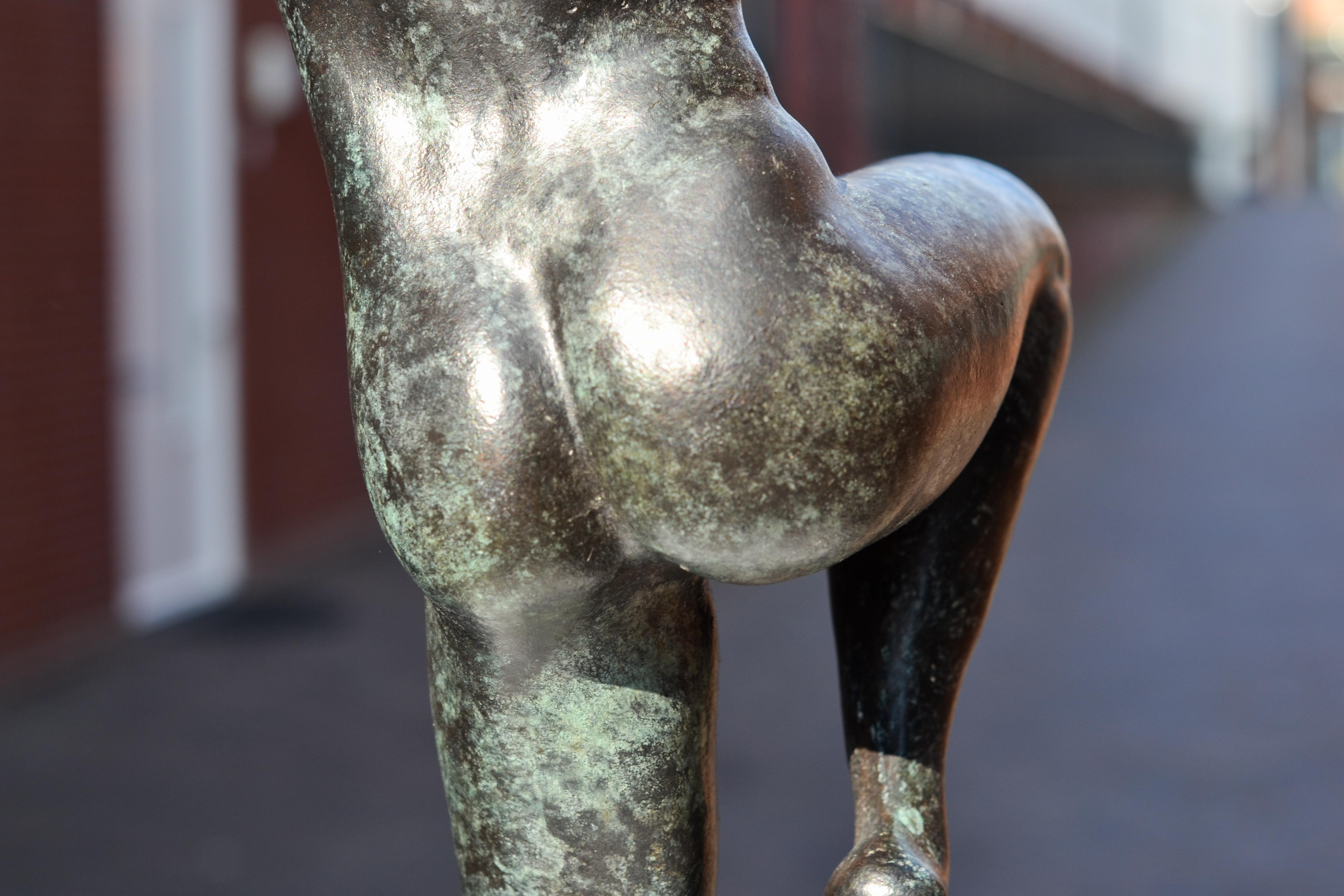 Freedom - Andries Velting 21st Century Contemporary Bronze Sculpture Patina  11