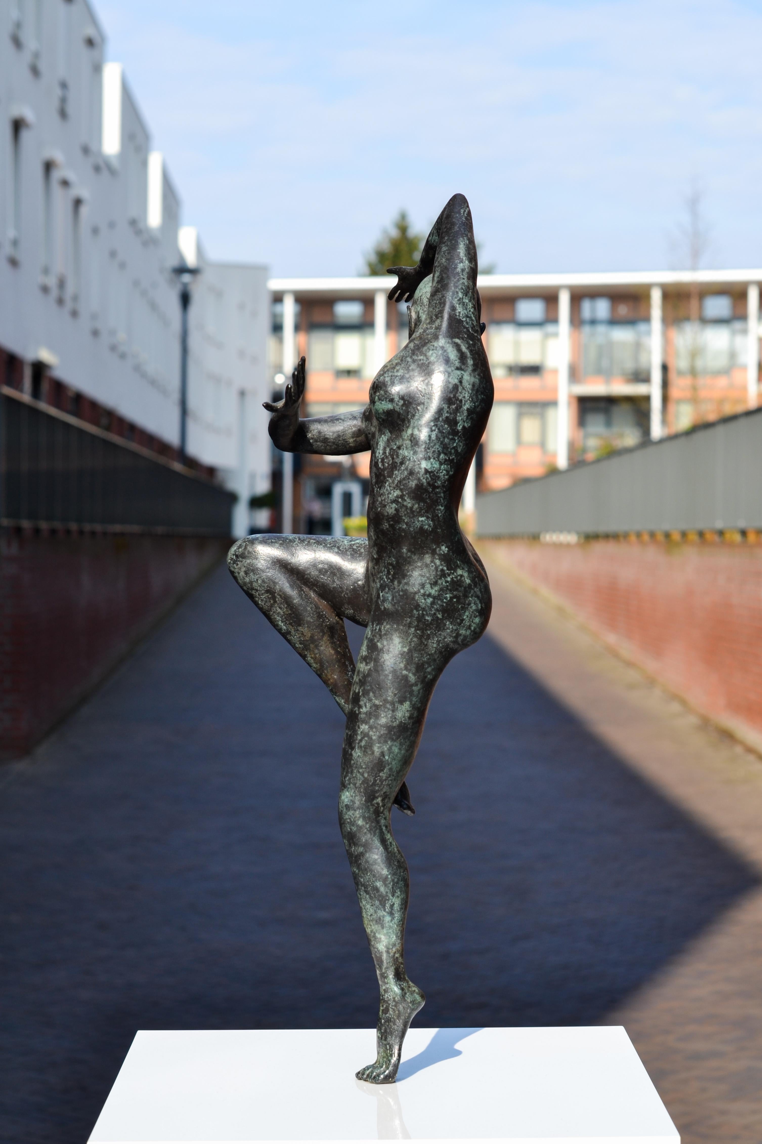 Freedom - Andries Velting 21st Century Contemporary Bronze Sculpture Patina  14