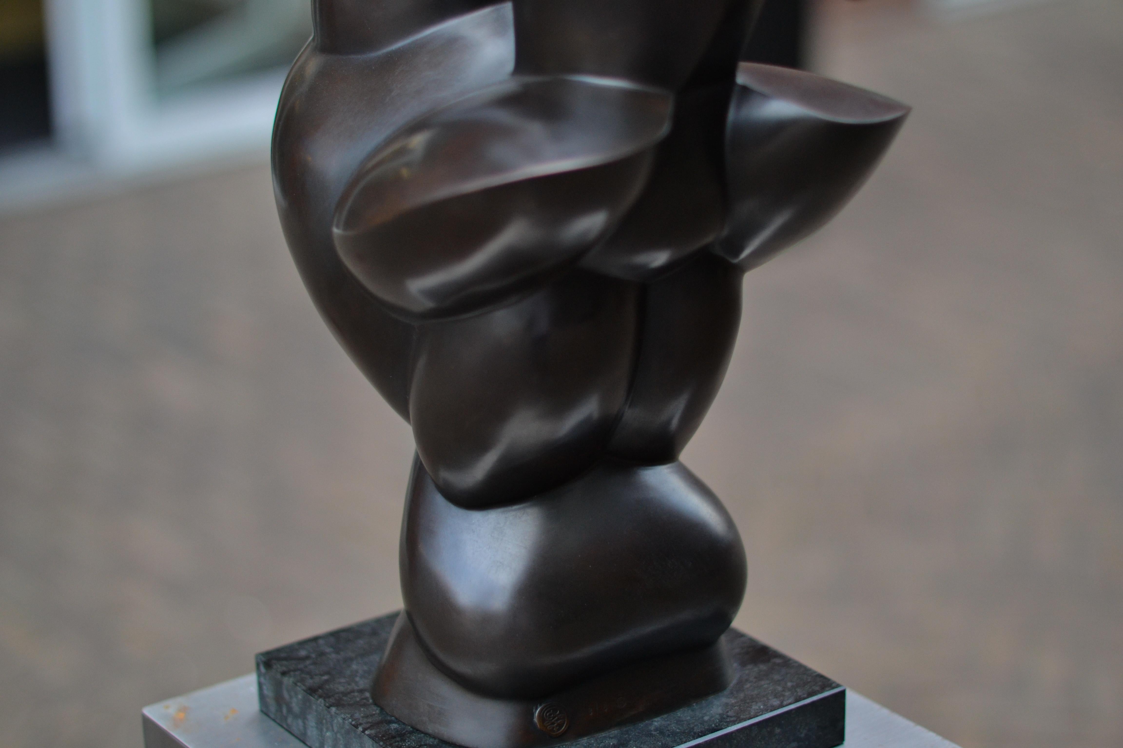 Pride - Frans van Straaten, 21st Century Contemporary Bronze Sculpture For Sale 5