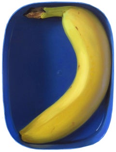 Banana in a lunchbox- 21st Century Contemporary Dutch Still-life Painting