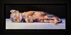 Newborn Kitten - 21st Century Contemporary Still-life by Adriana Van Zoest