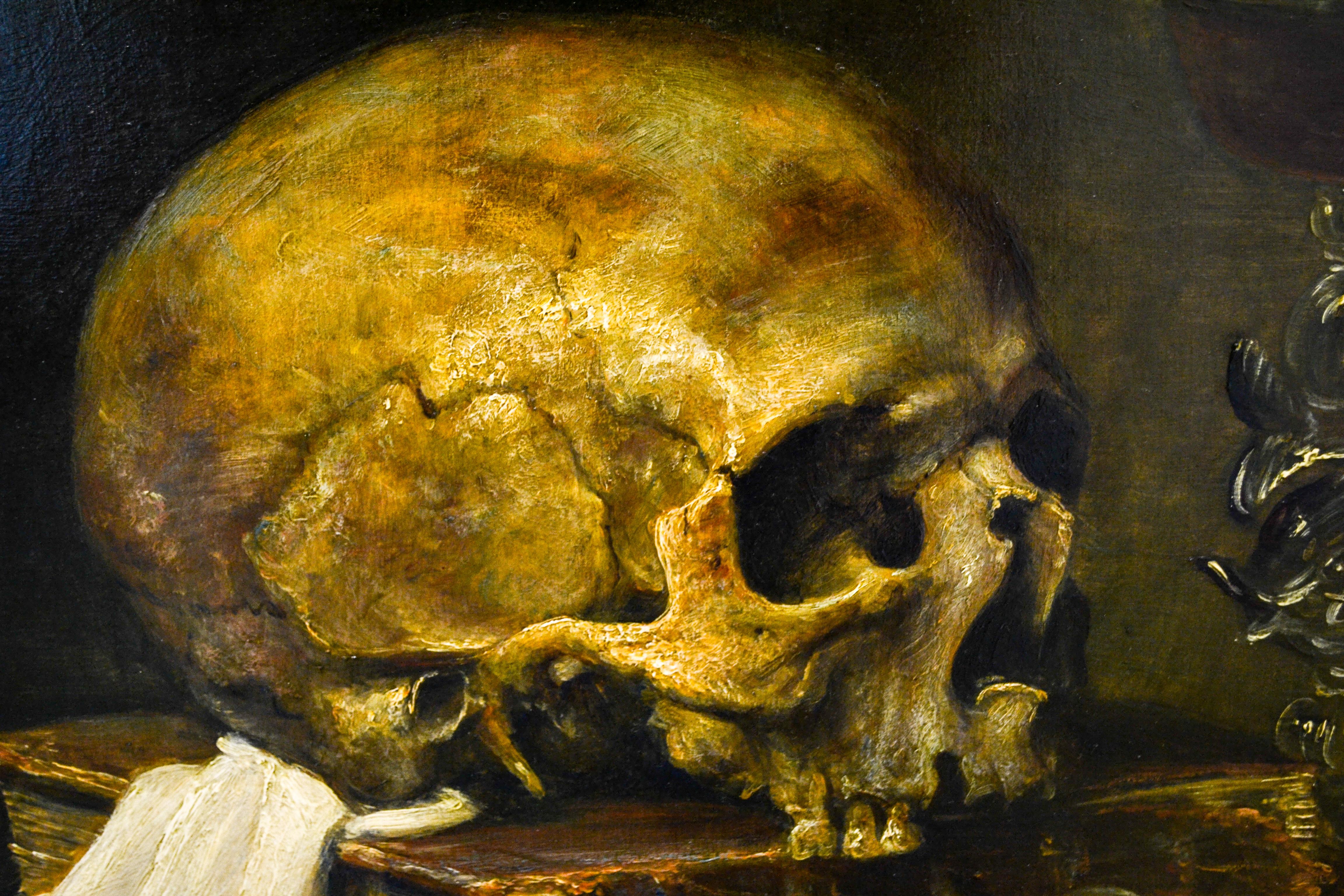 skull still life painting