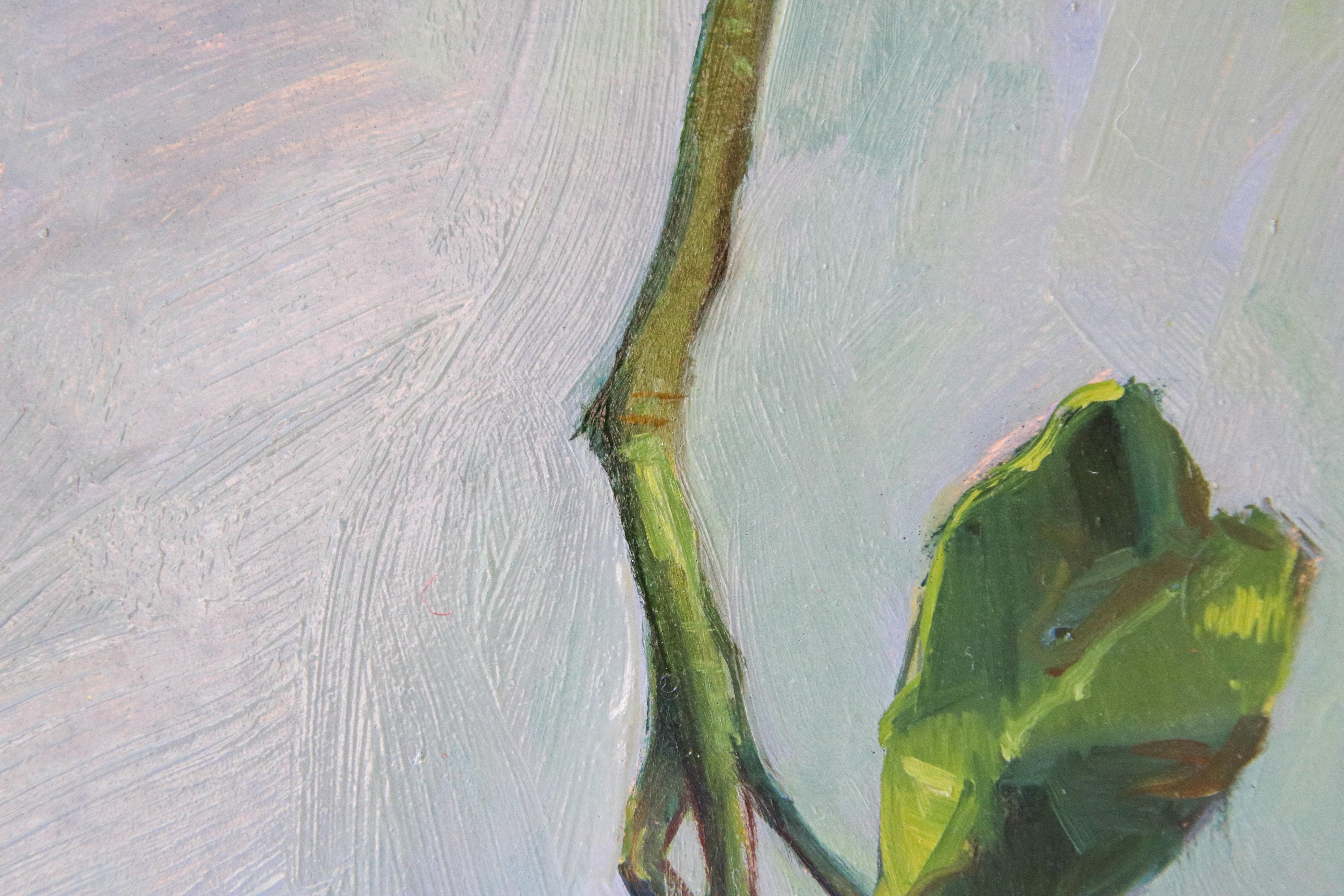 Italian artist Daniela Astone lives and works in Florence. She enjoys working with live models and paints her works from observation, the classical approach she learned at the Academy in Florence and which she now teaches to her students. Daniela