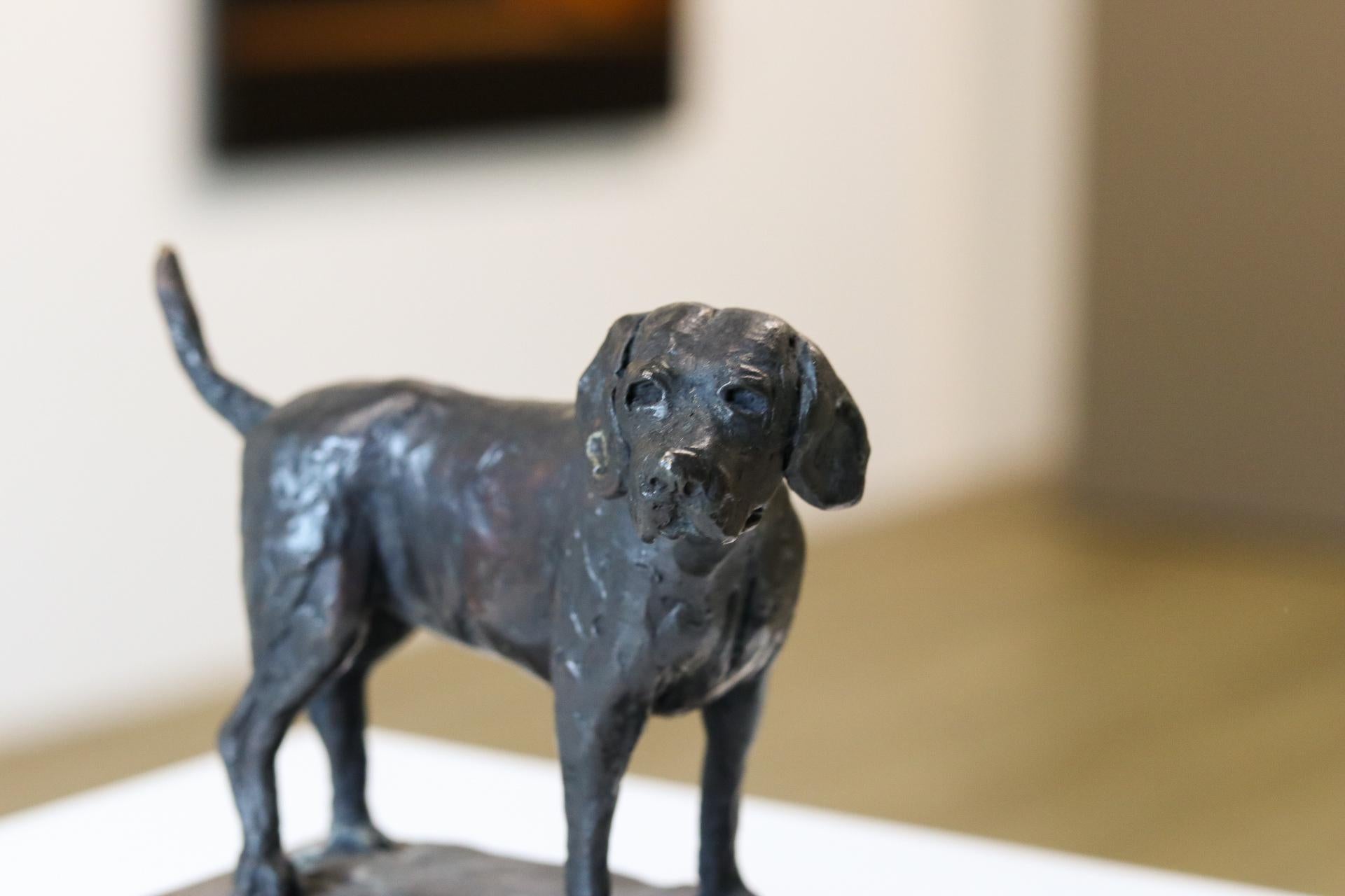 Beagle - Scultura in bronzo contemporanea del 21° secolo di un piccolo cane felice - Sculpture Contemporaneo di Romee Kanis