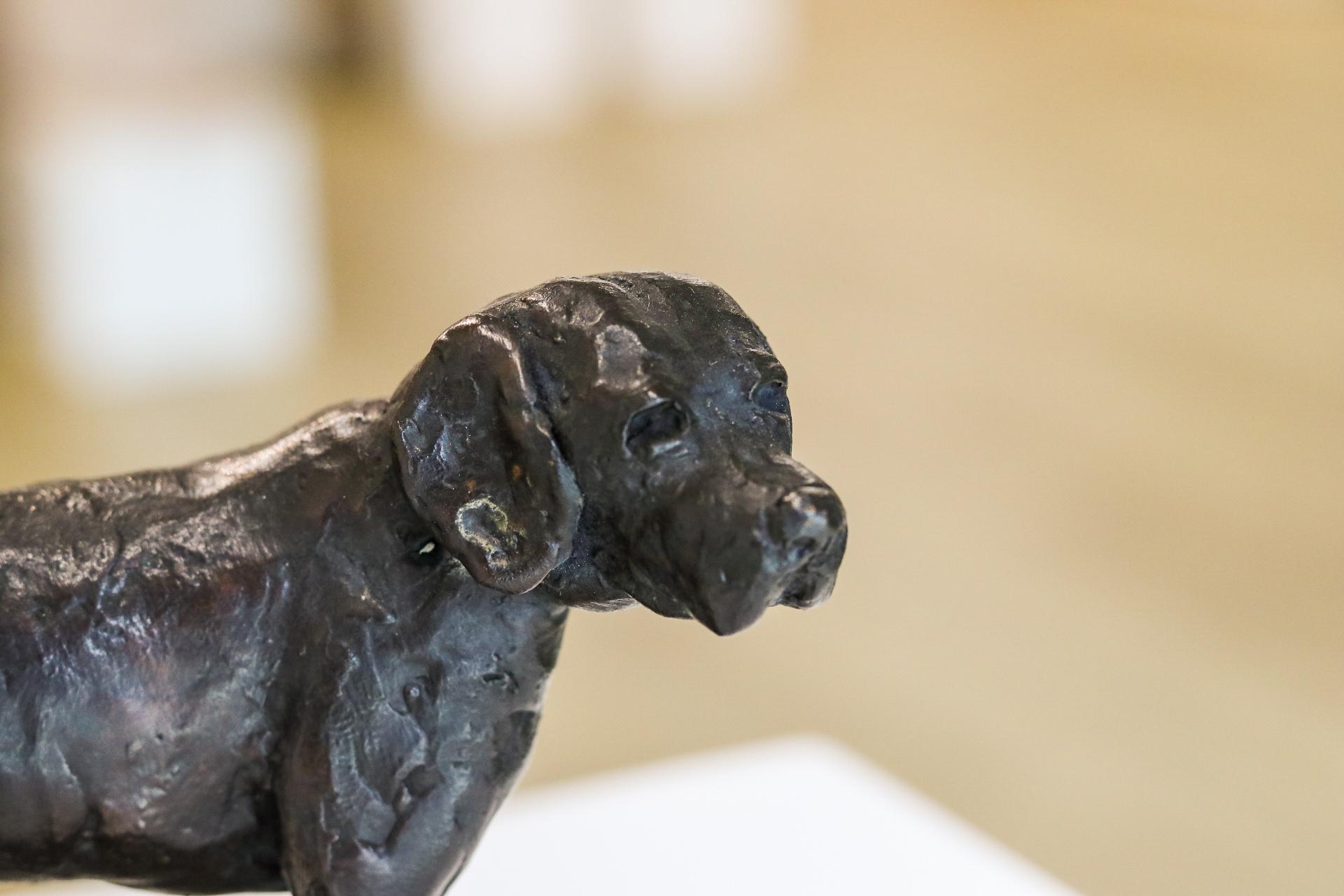 Beagle - Scultura in bronzo contemporanea del 21° secolo di un piccolo cane felice in vendita 1