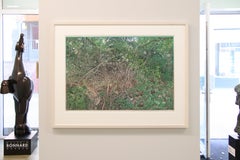 Branches in the Forest - 21st Century Contemporary Woodcut Print
