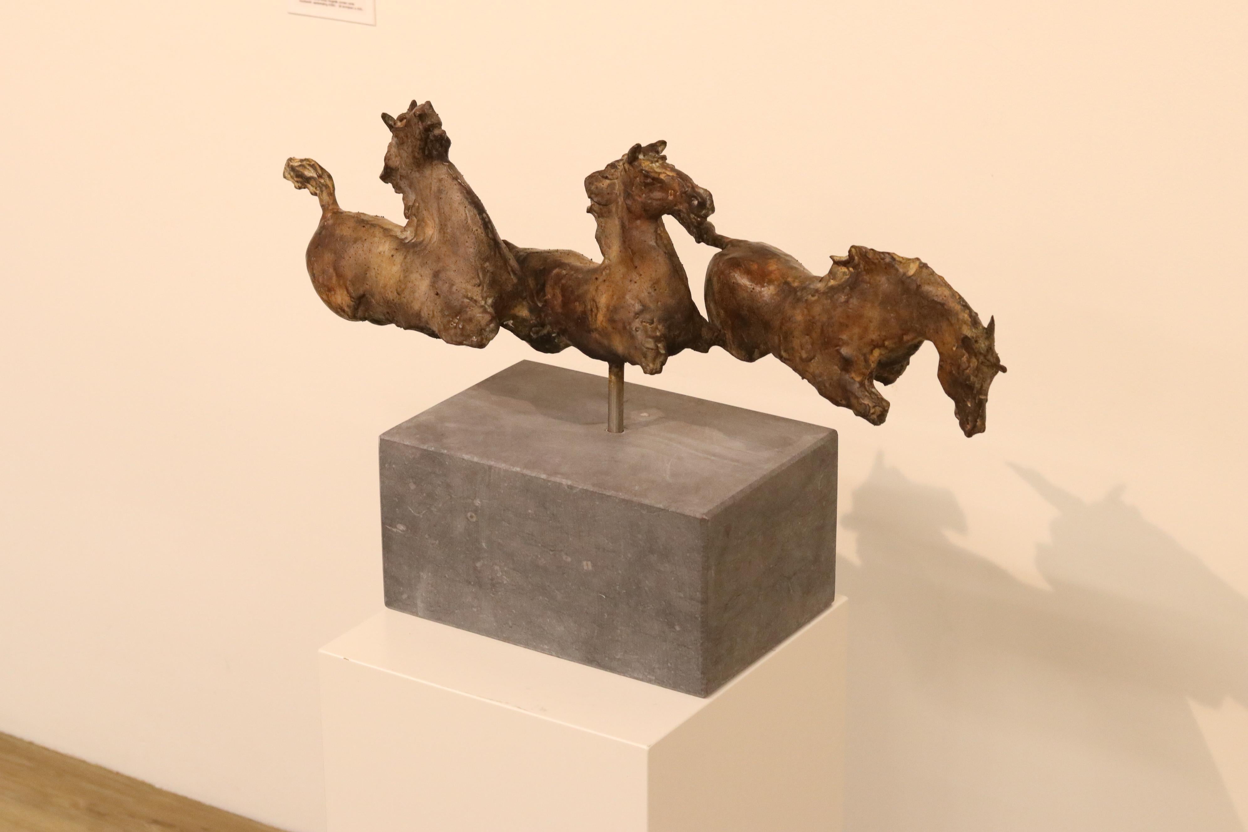 Wild Horses - 21st Century Contemporary Bronze Sculpture of Running Horses - Gold Figurative Sculpture by Wil van der Laan