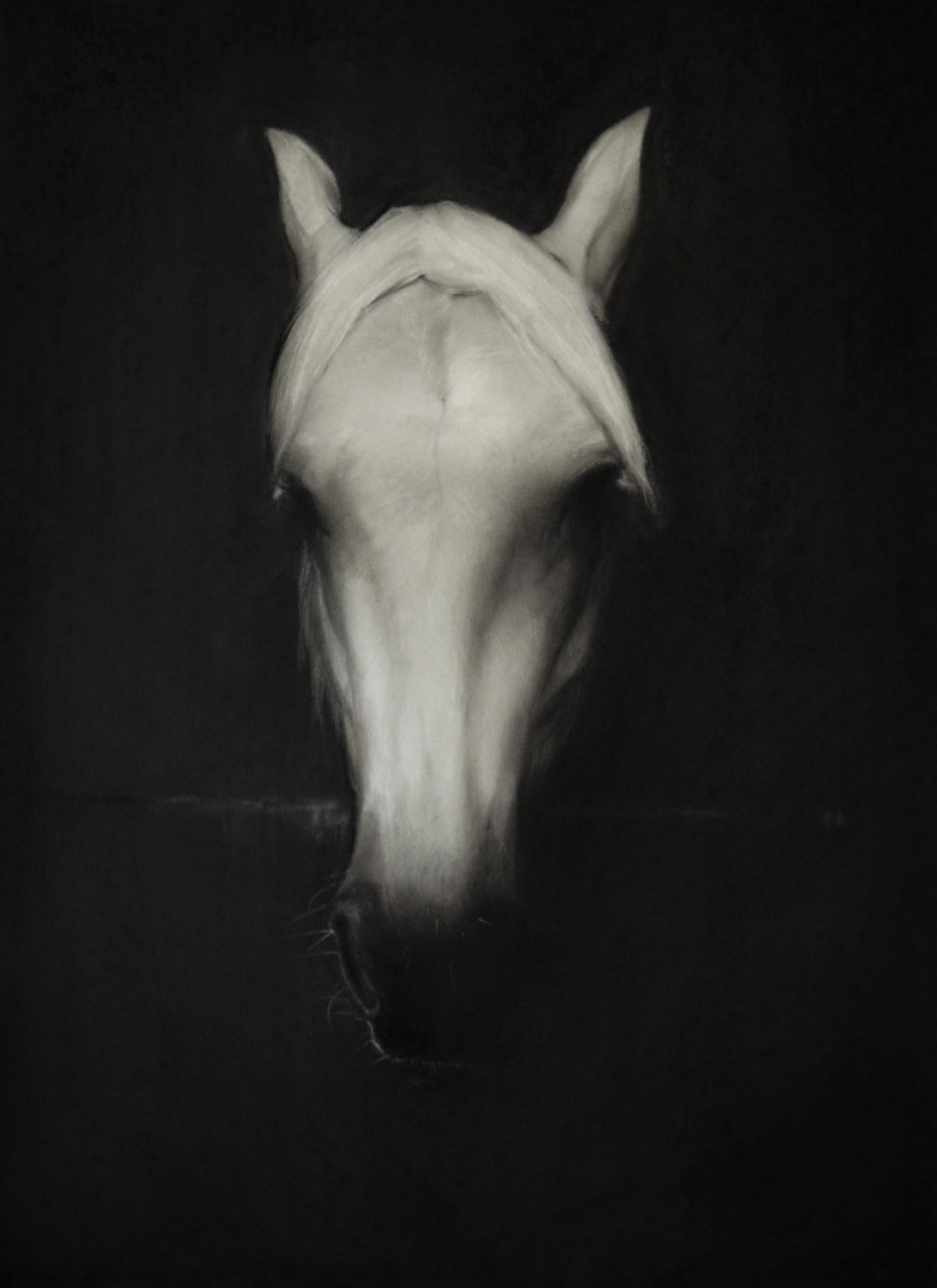 Fairy- 21st Century Contemporary Charcoal drawing of the head of a horse