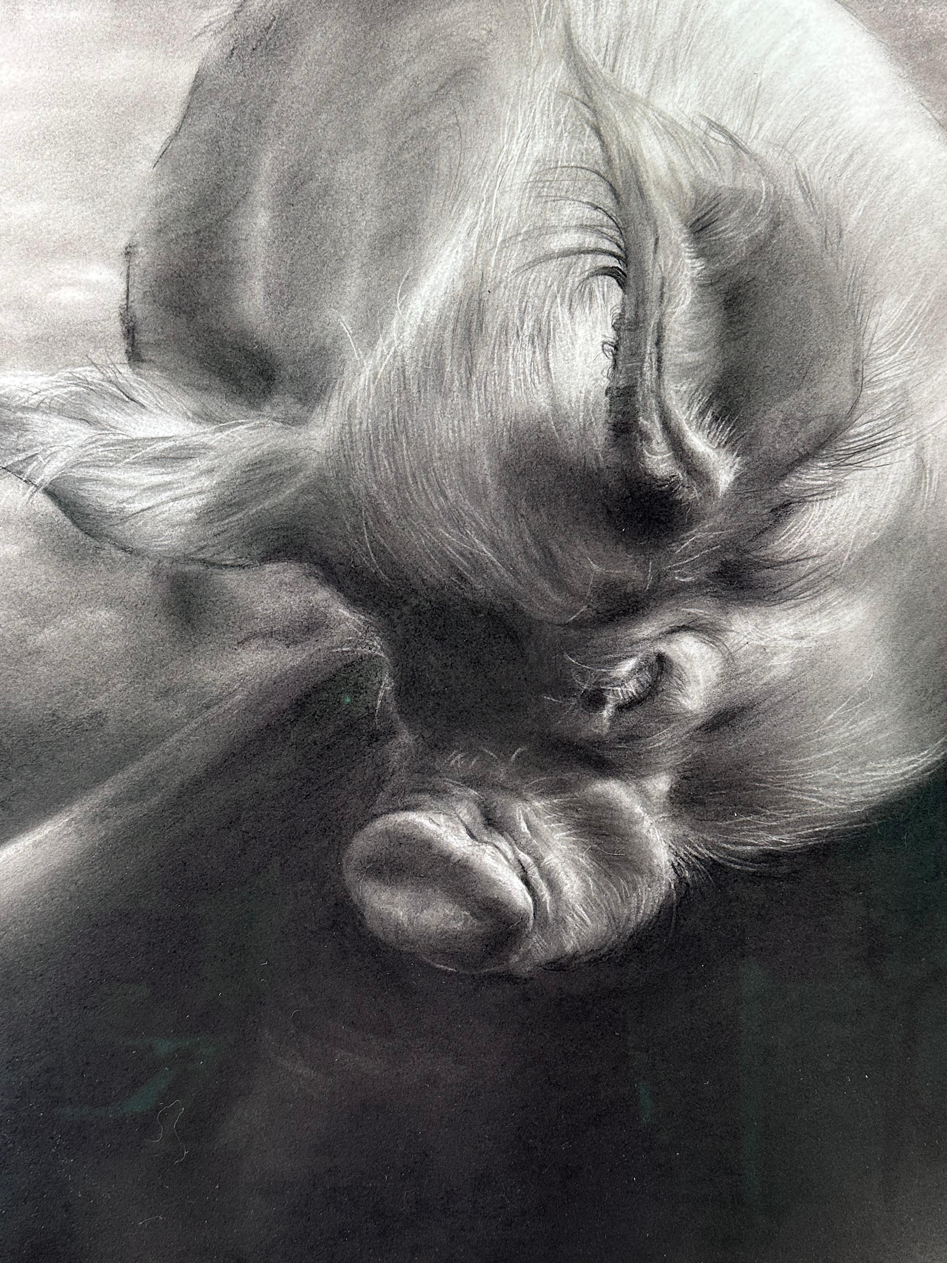 Vita Condatida- Siglo XXI Dibujo contemporáneo a carboncillo de un cerdo - Figurative Art Negro de Rosanna Gaddoni
