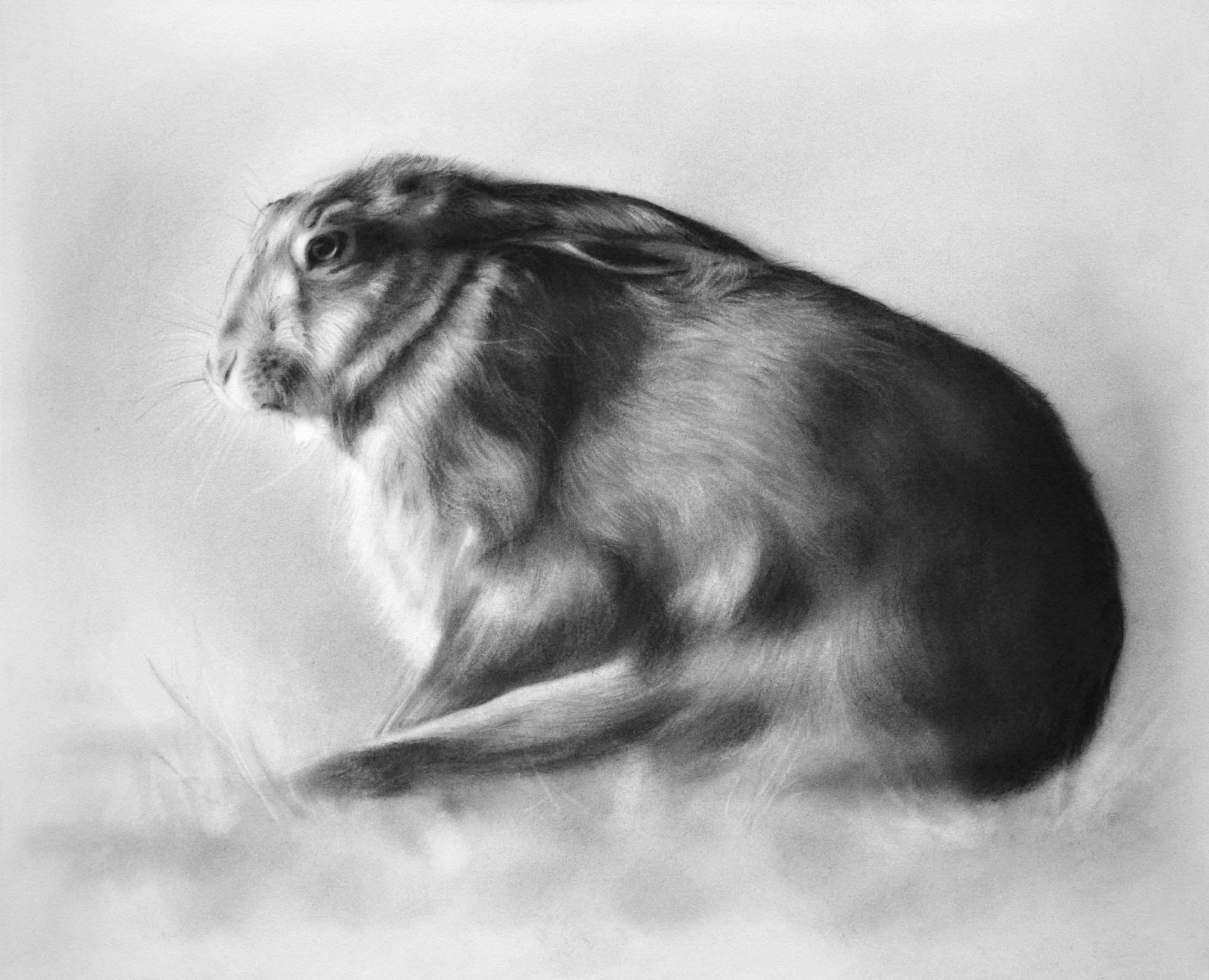 Animal Art de Rosanna Gaddoni - Stillness- Dibujo contemporáneo al carboncillo del siglo XXI de un conejo en el campo