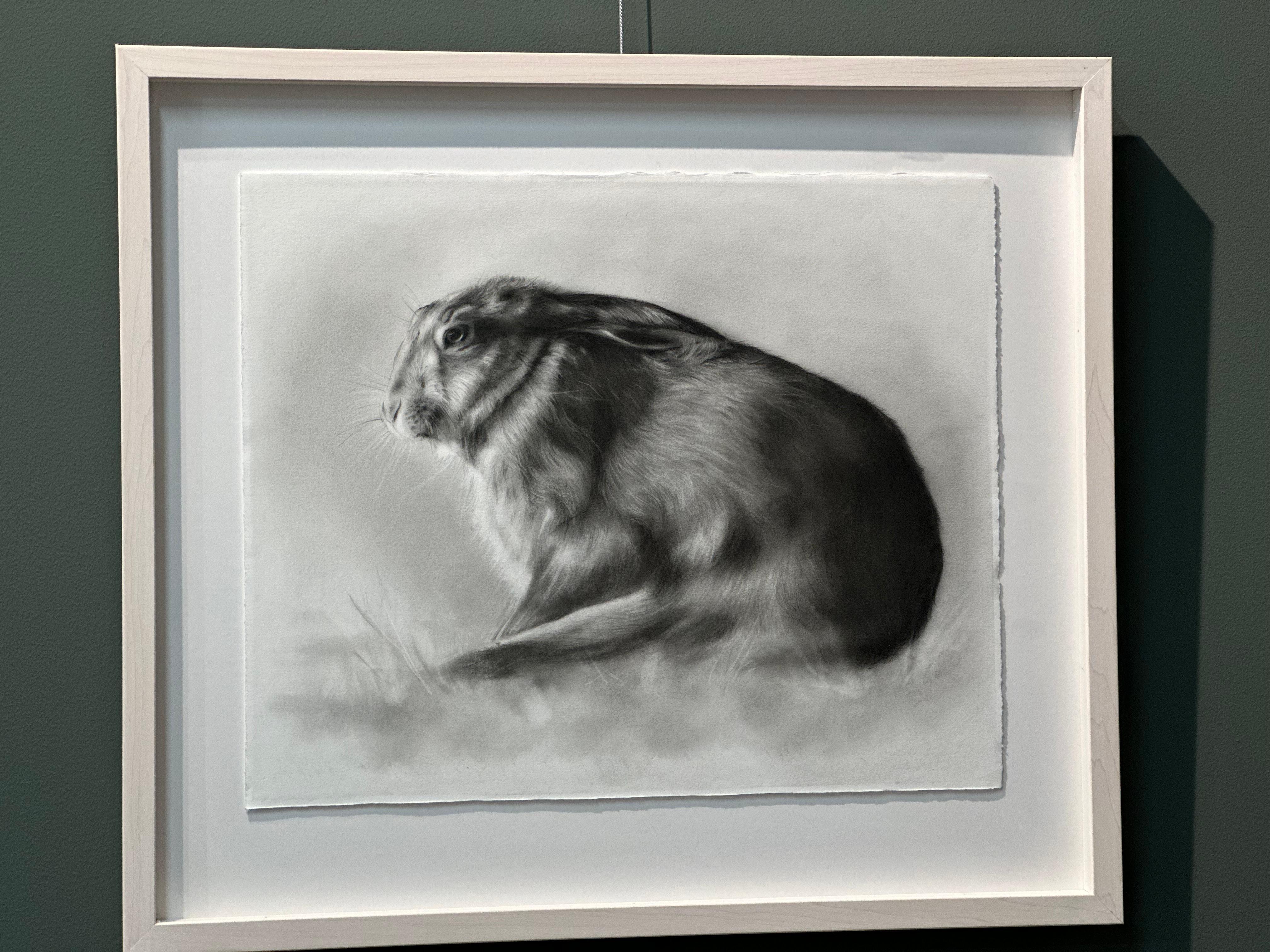 Stillness- Dibujo contemporáneo al carboncillo del siglo XXI de un conejo en el campo - Art de Rosanna Gaddoni