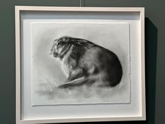 Stillness- 21st Century Contemporary Charcoal Drawing of a rabbit in the field