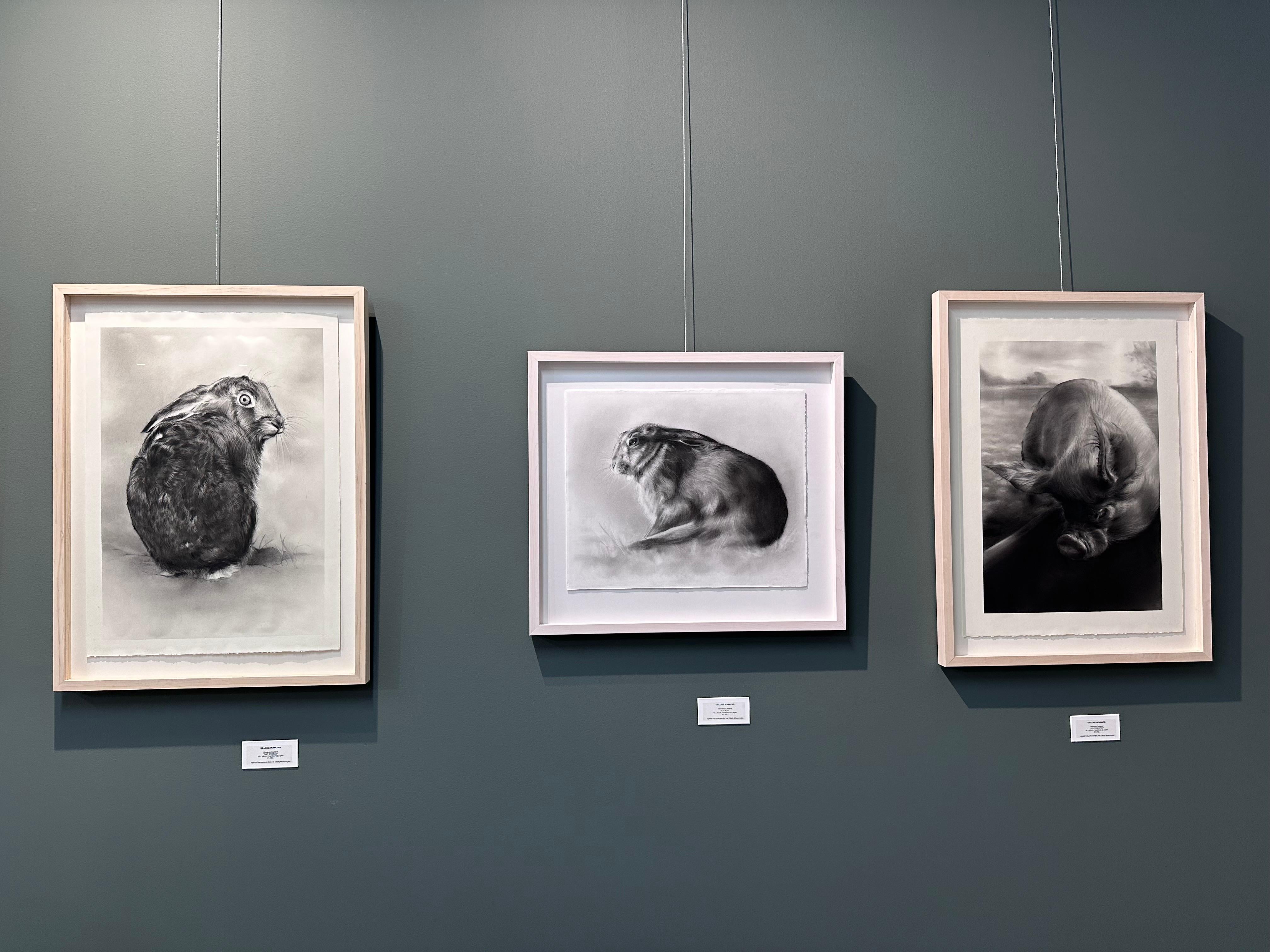 Stillness- Dibujo contemporáneo al carboncillo del siglo XXI de un conejo en el campo - Art Contemporáneo de Rosanna Gaddoni