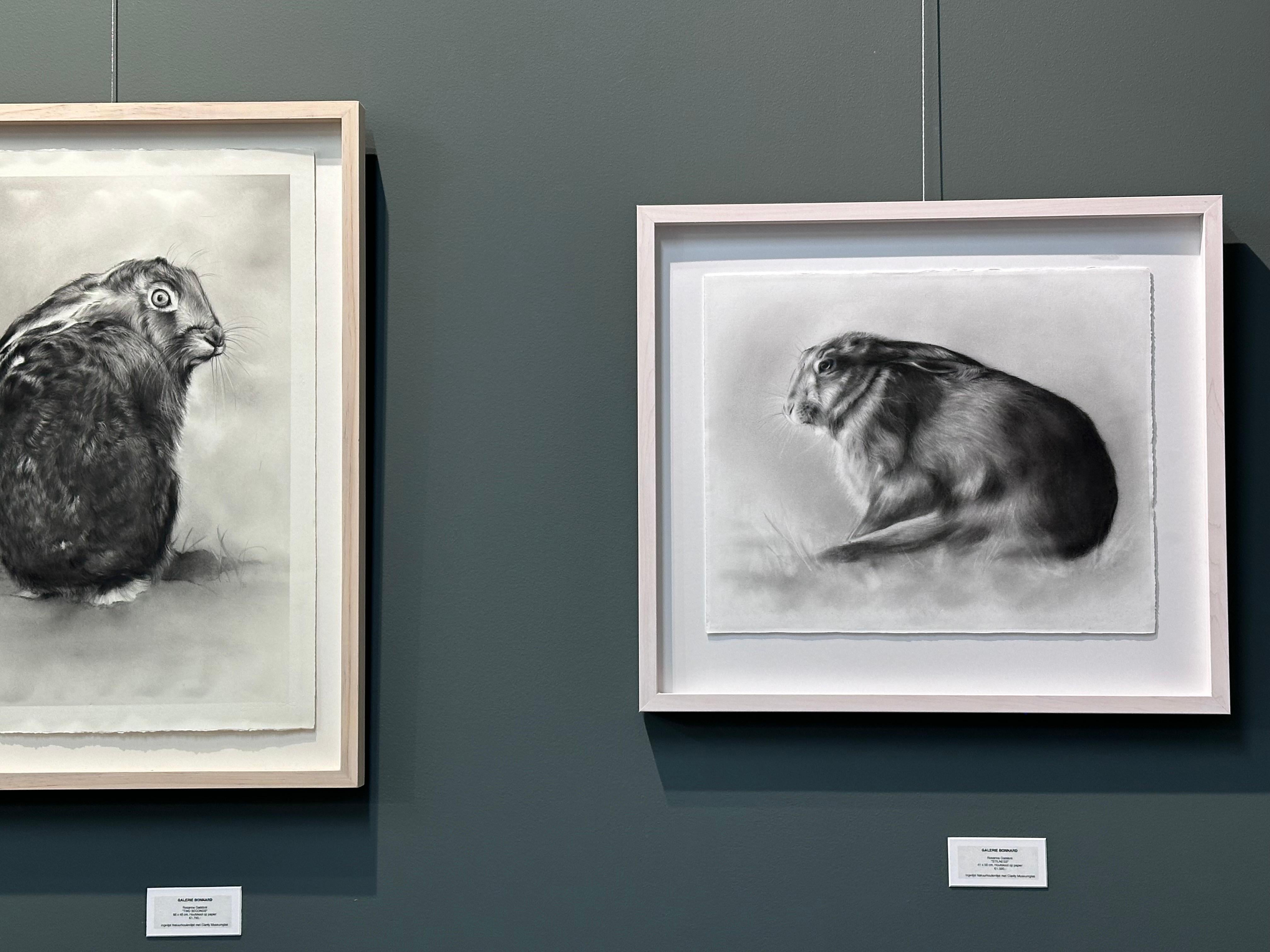 Stillness- Dibujo contemporáneo al carboncillo del siglo XXI de un conejo en el campo en venta 1