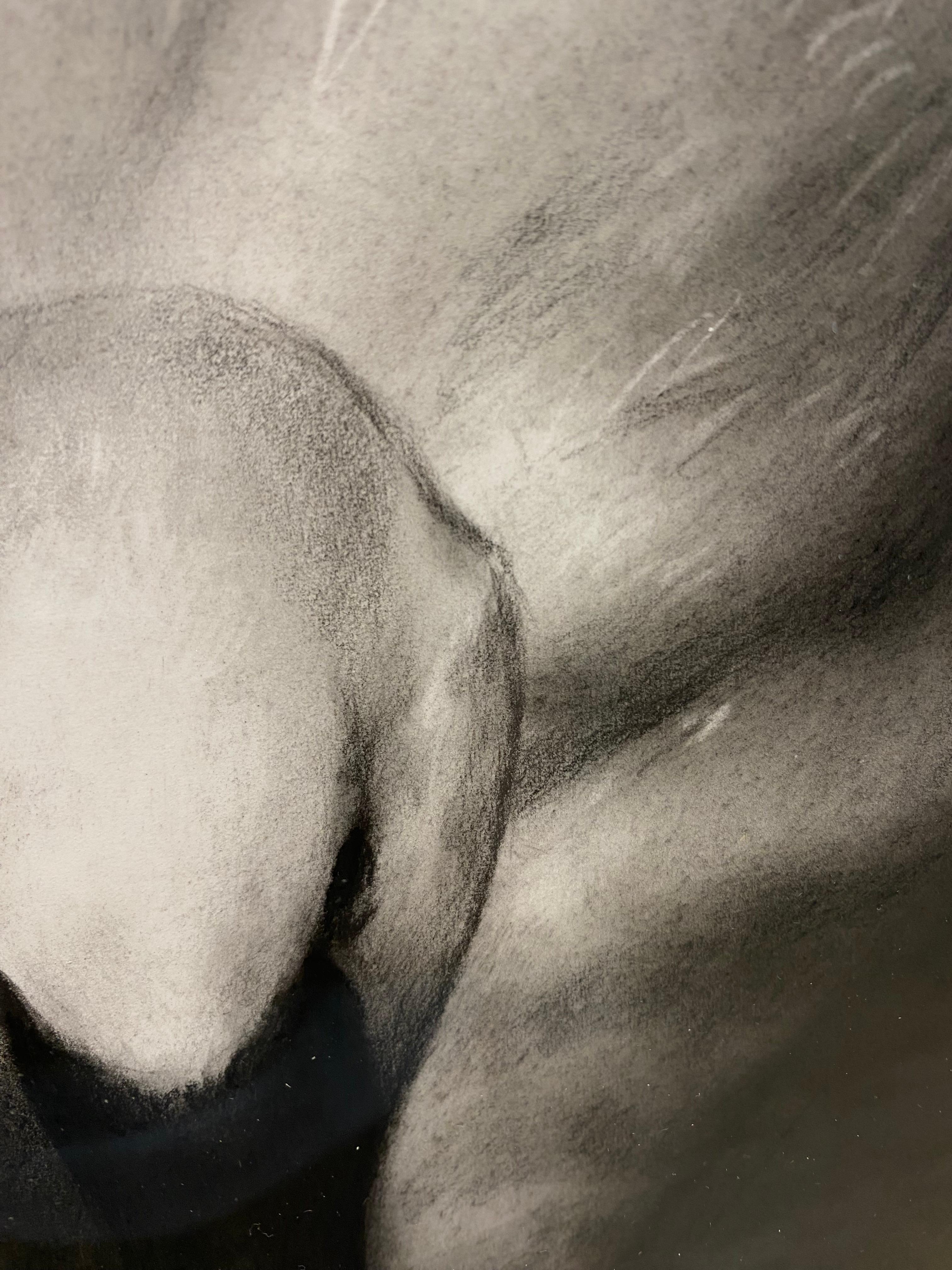 Silence - 21st Century Contemporary Realistic Charcoal Drawing of a Swan 2024 - Black Animal Art by Rosanna Gaddoni