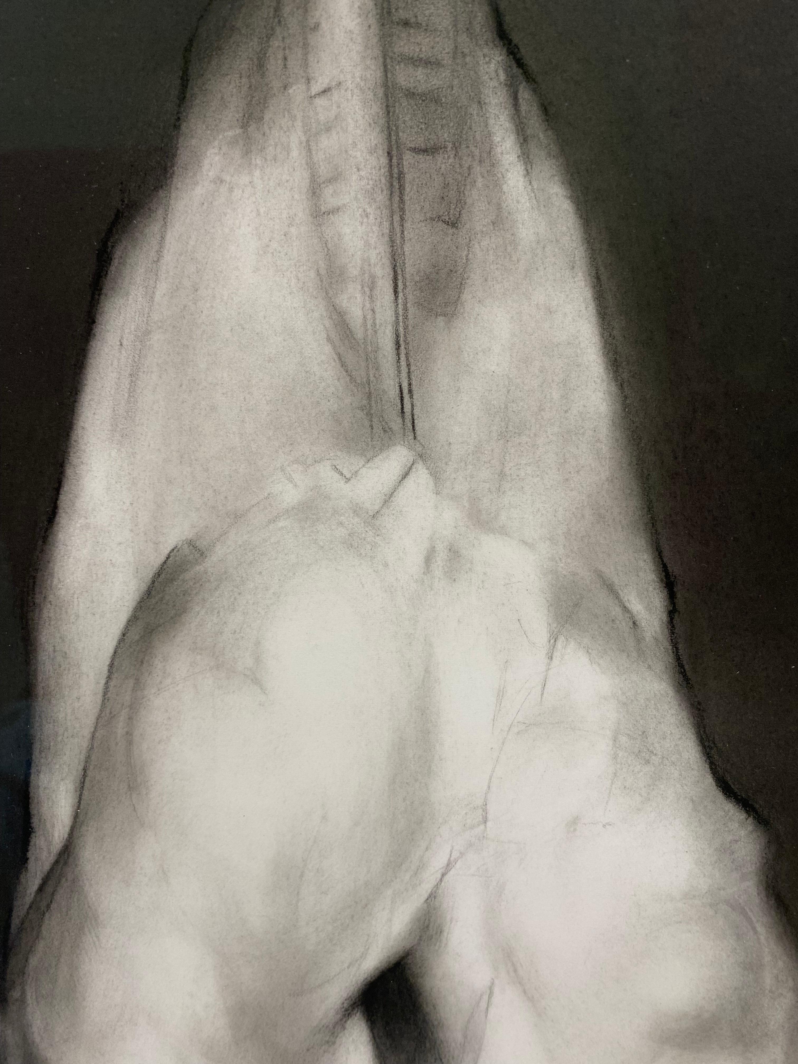 Silence - 21st Century Contemporary Realistic Charcoal Drawing of a Swan 2024 For Sale 1