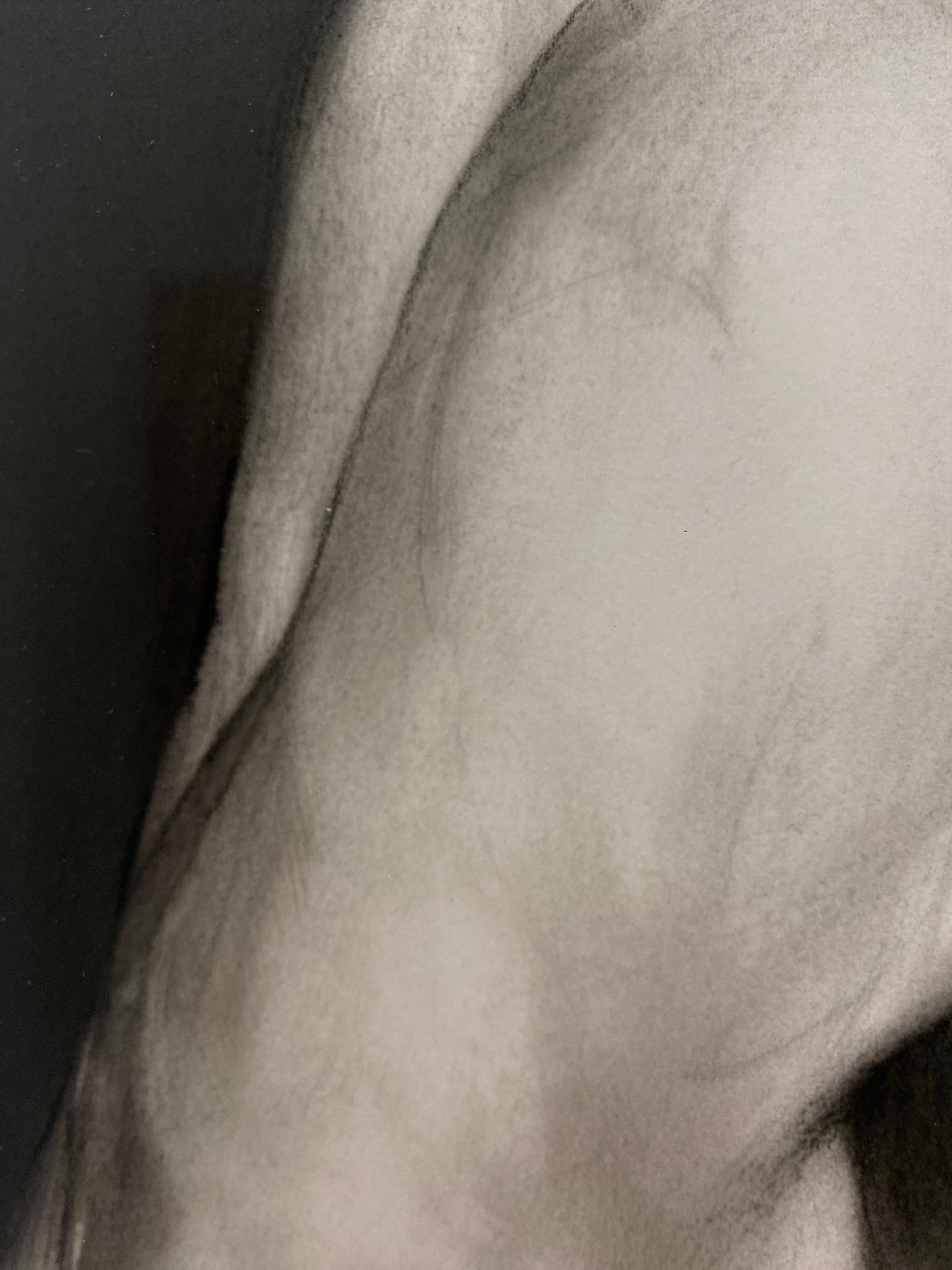 Silence - 21st Century Contemporary Realistic Charcoal Drawing of a Swan 2024 For Sale 3