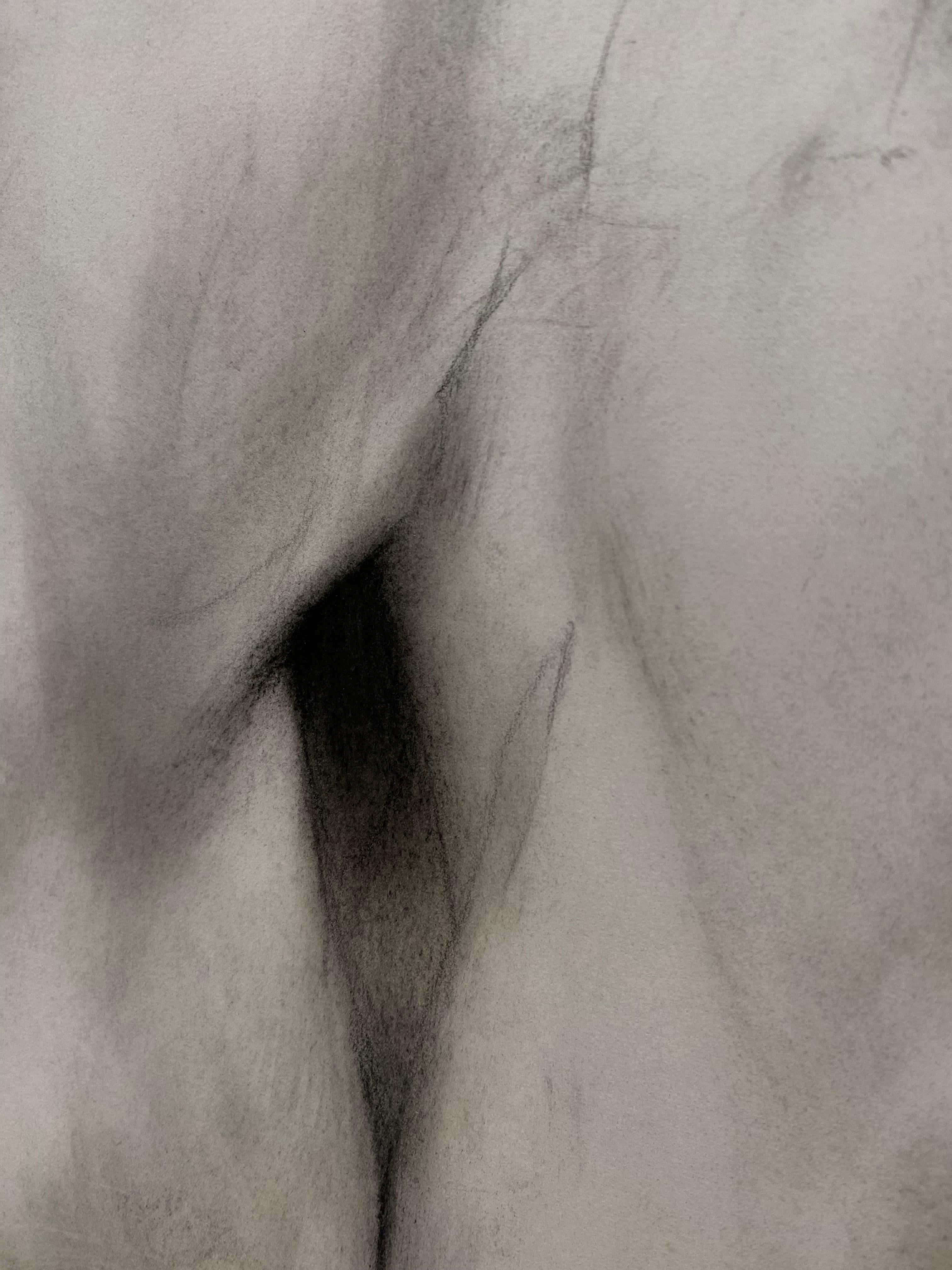 Silence - 21st Century Contemporary Realistic Charcoal Drawing of a Swan 2024 For Sale 4