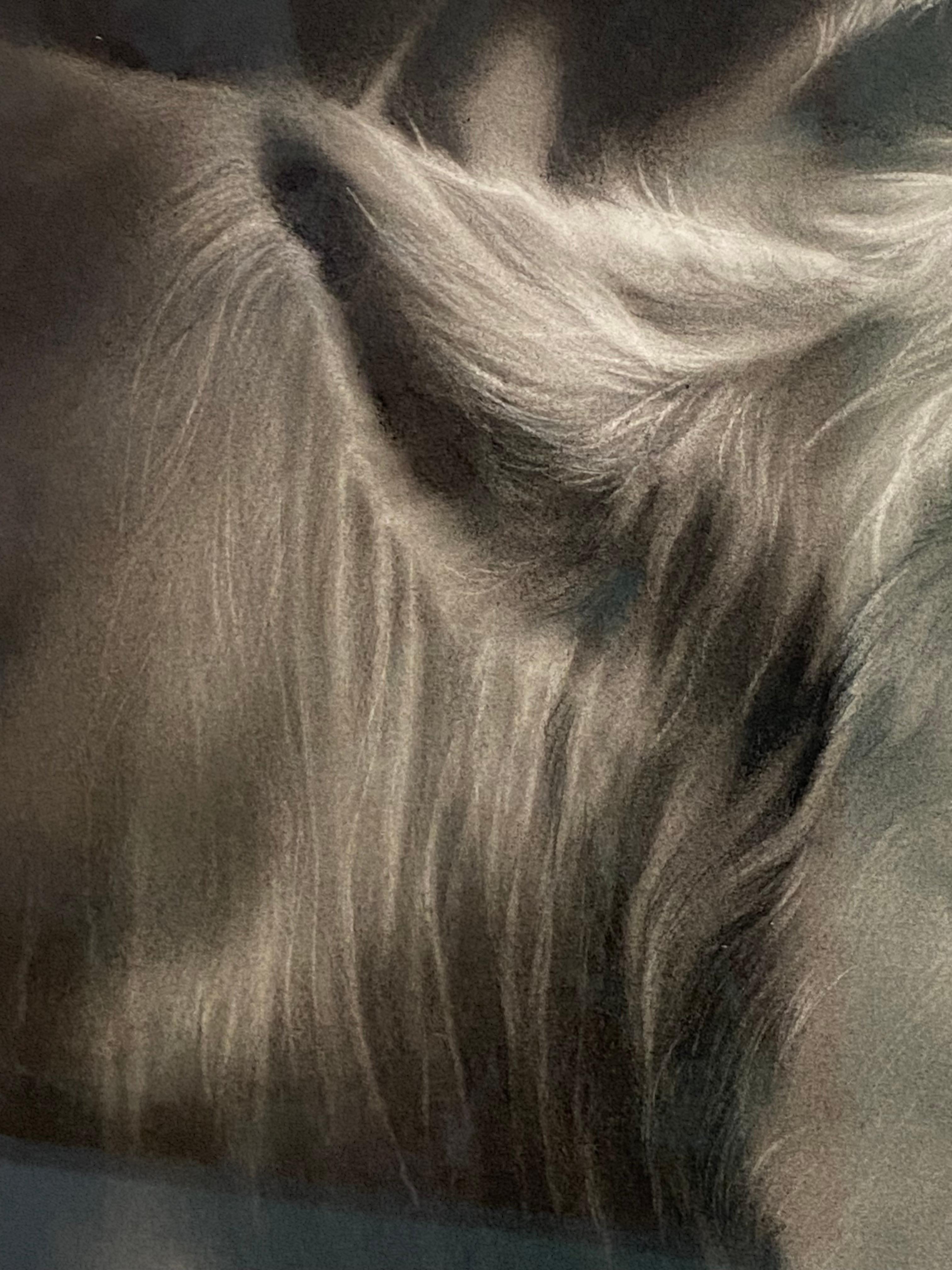 Compagnons - Dessin au fusain contemporain du 21e siècle représentant deux vaches - Noir Figurative Art par Rosanna Gaddoni