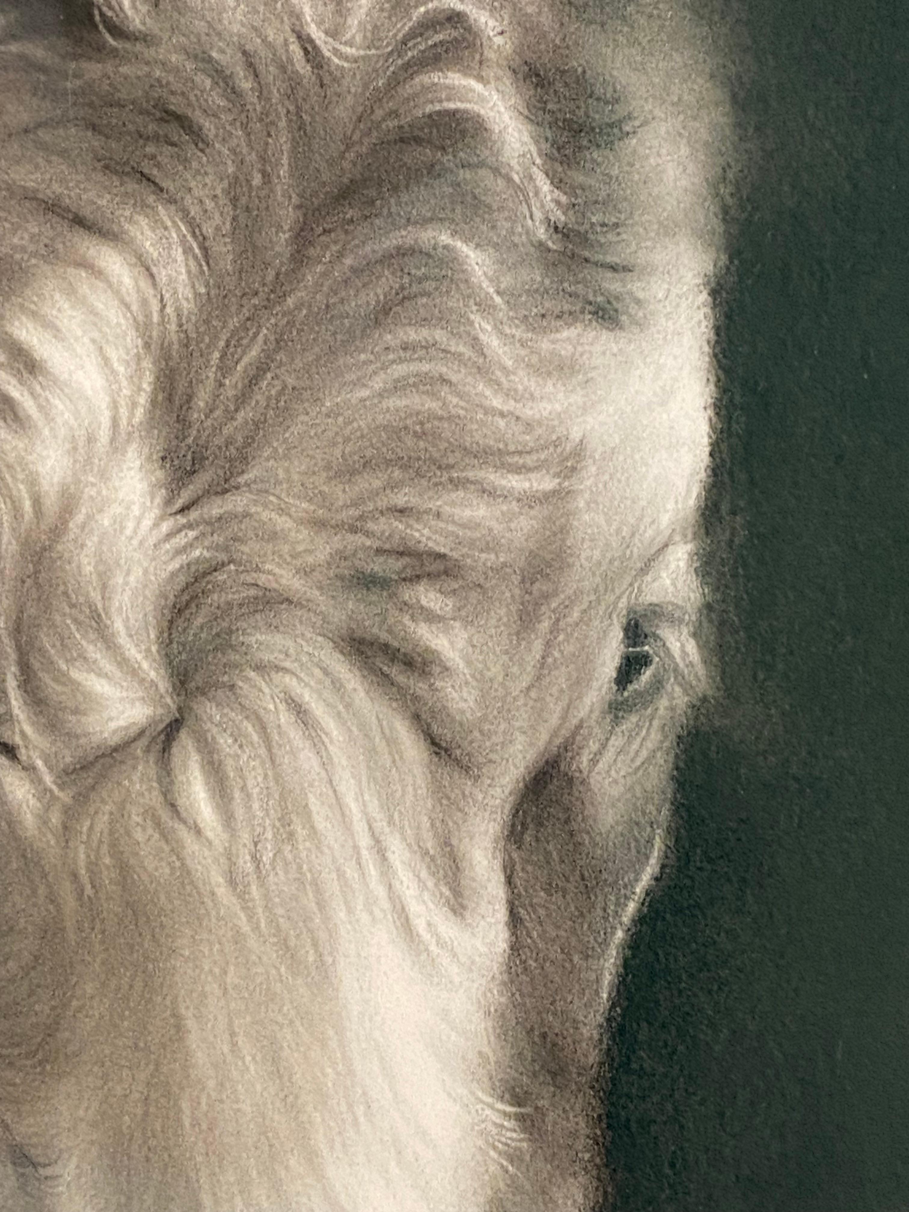 Compagnons - Dessin au fusain contemporain du 21e siècle représentant deux vaches en vente 2
