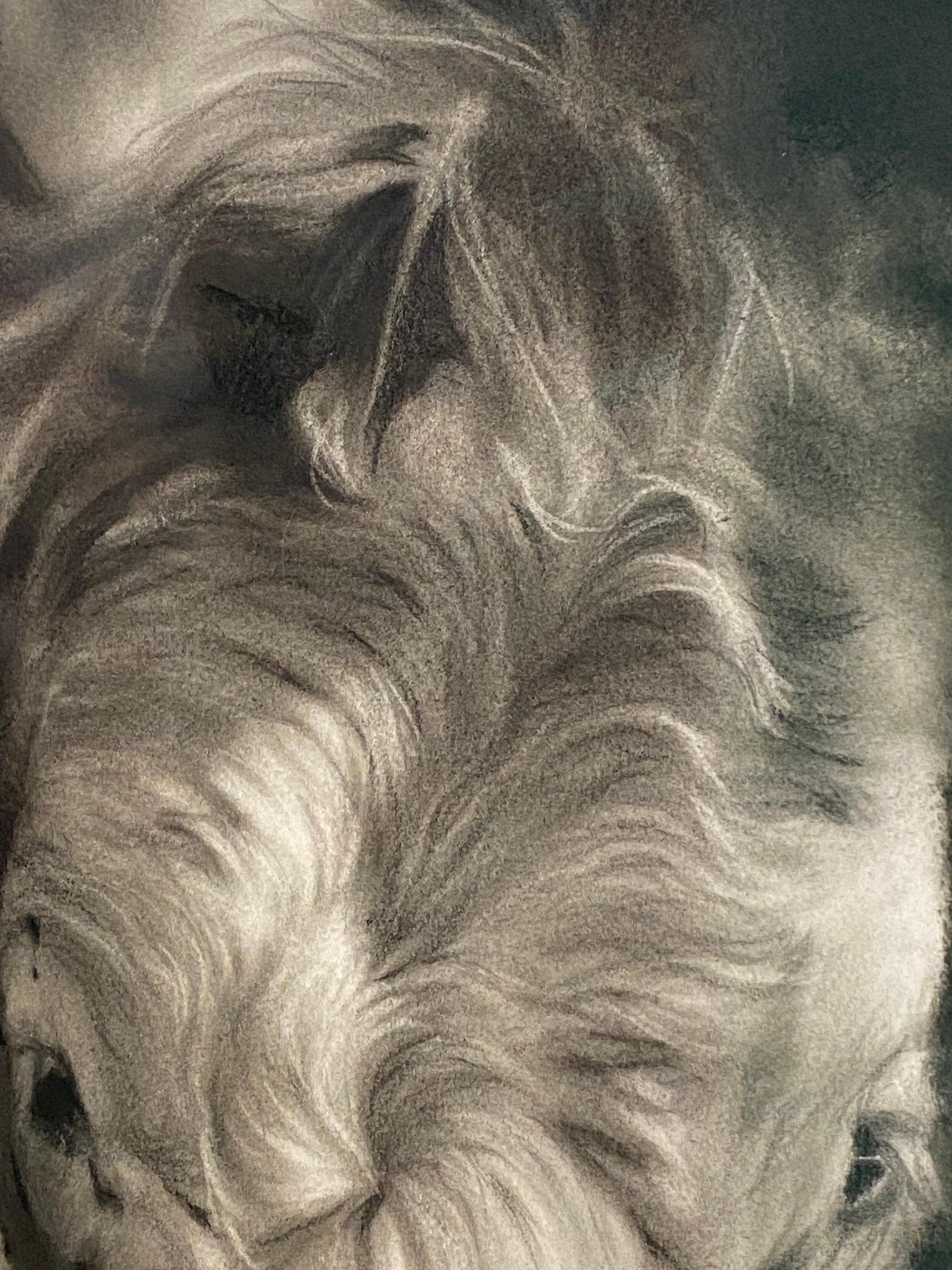 Compagnons - Dessin au fusain contemporain du 21e siècle représentant deux vaches en vente 3