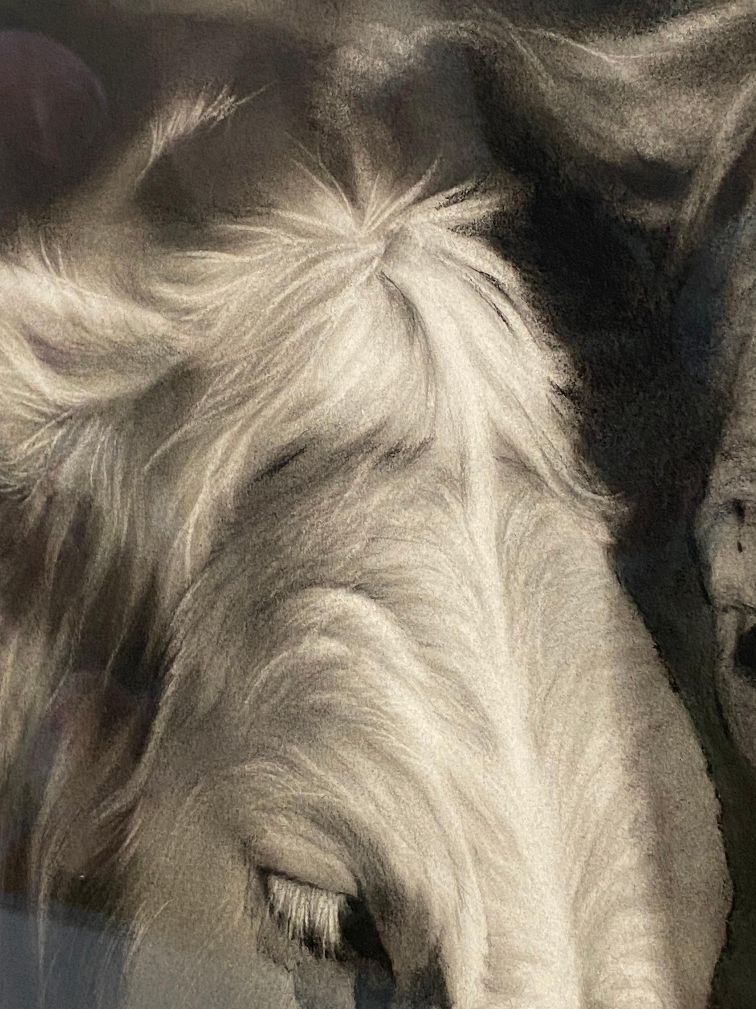 Compagnons - Dessin au fusain contemporain du 21e siècle représentant deux vaches en vente 4