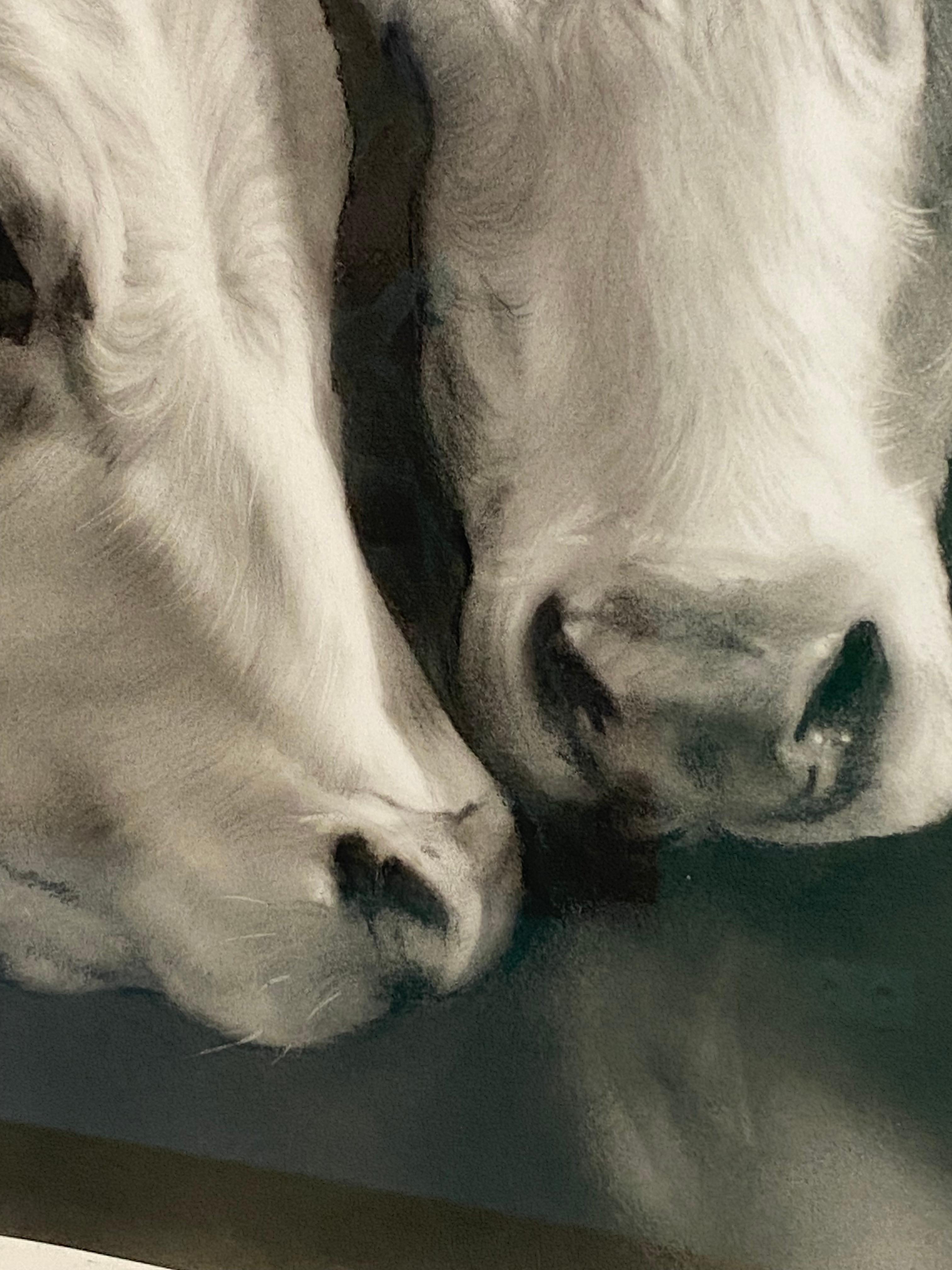 Compagnons - Dessin au fusain contemporain du 21e siècle représentant deux vaches en vente 5