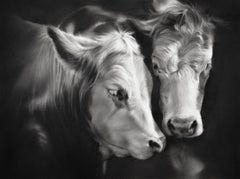 Compañeros - Dibujo contemporáneo al carboncillo del siglo XXI de dos vacas