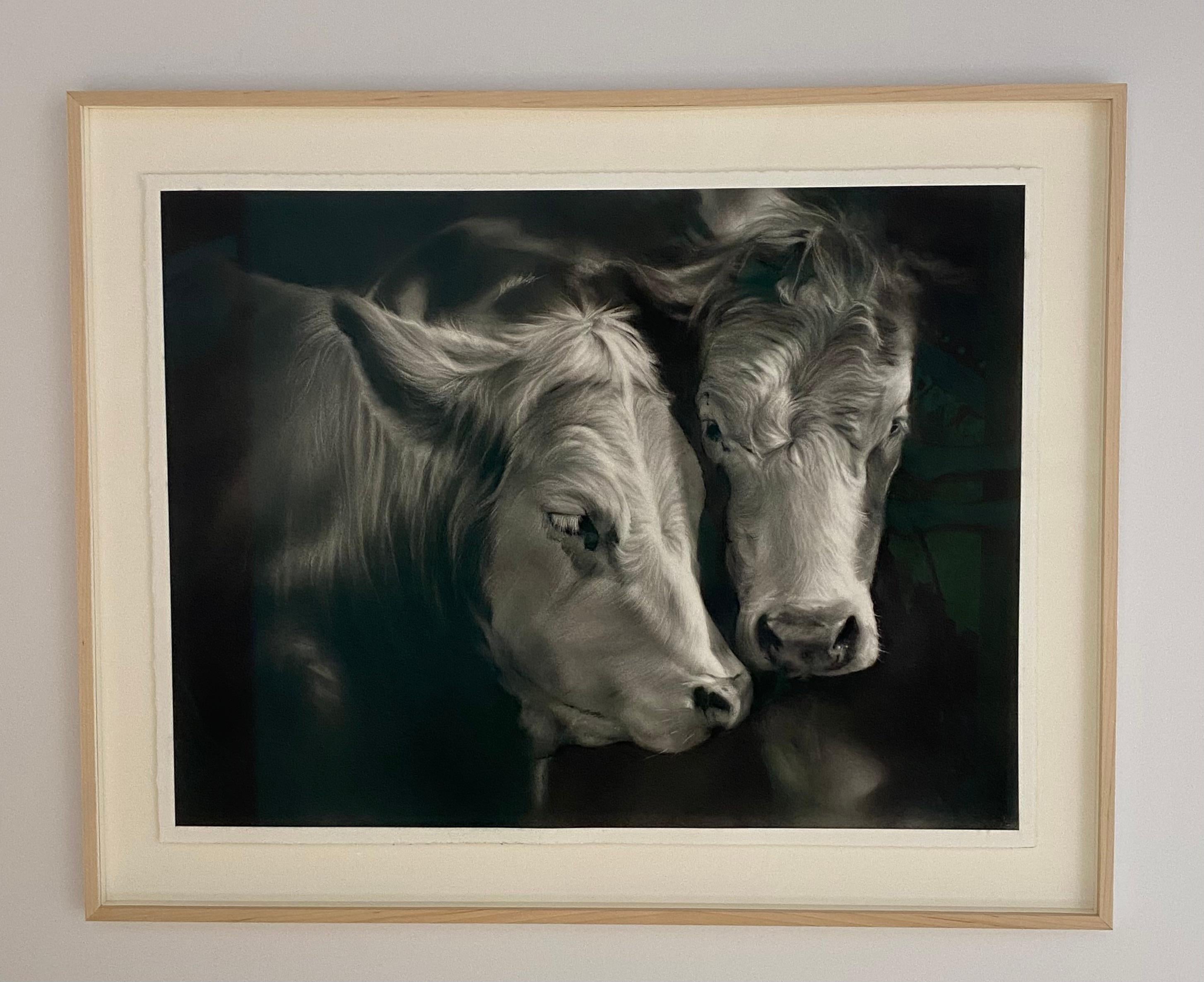 Compagnons - Dessin au fusain contemporain du 21e siècle représentant deux vaches - Art de Rosanna Gaddoni