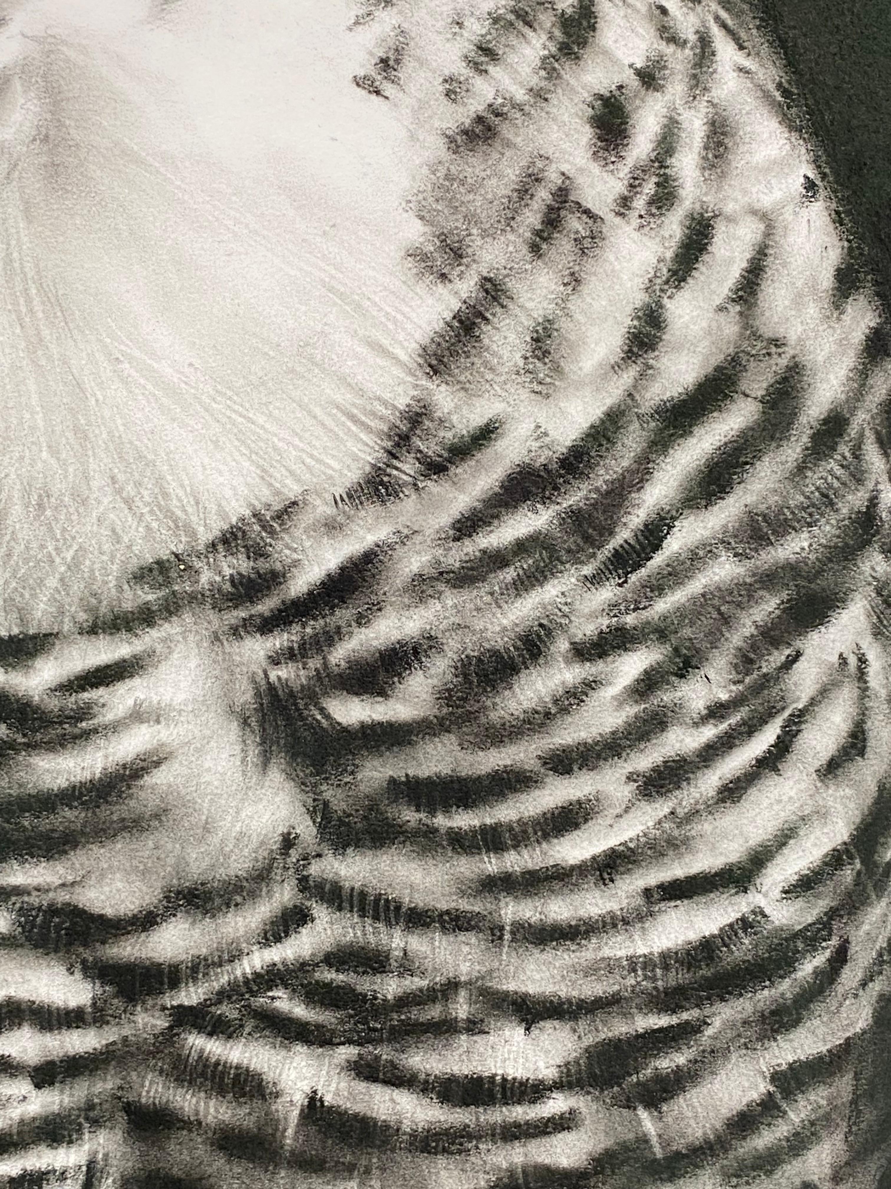Canción para mí - Siglo XXI Dibujo contemporáneo a carboncillo de un búho - Art Contemporáneo de Rosanna Gaddoni