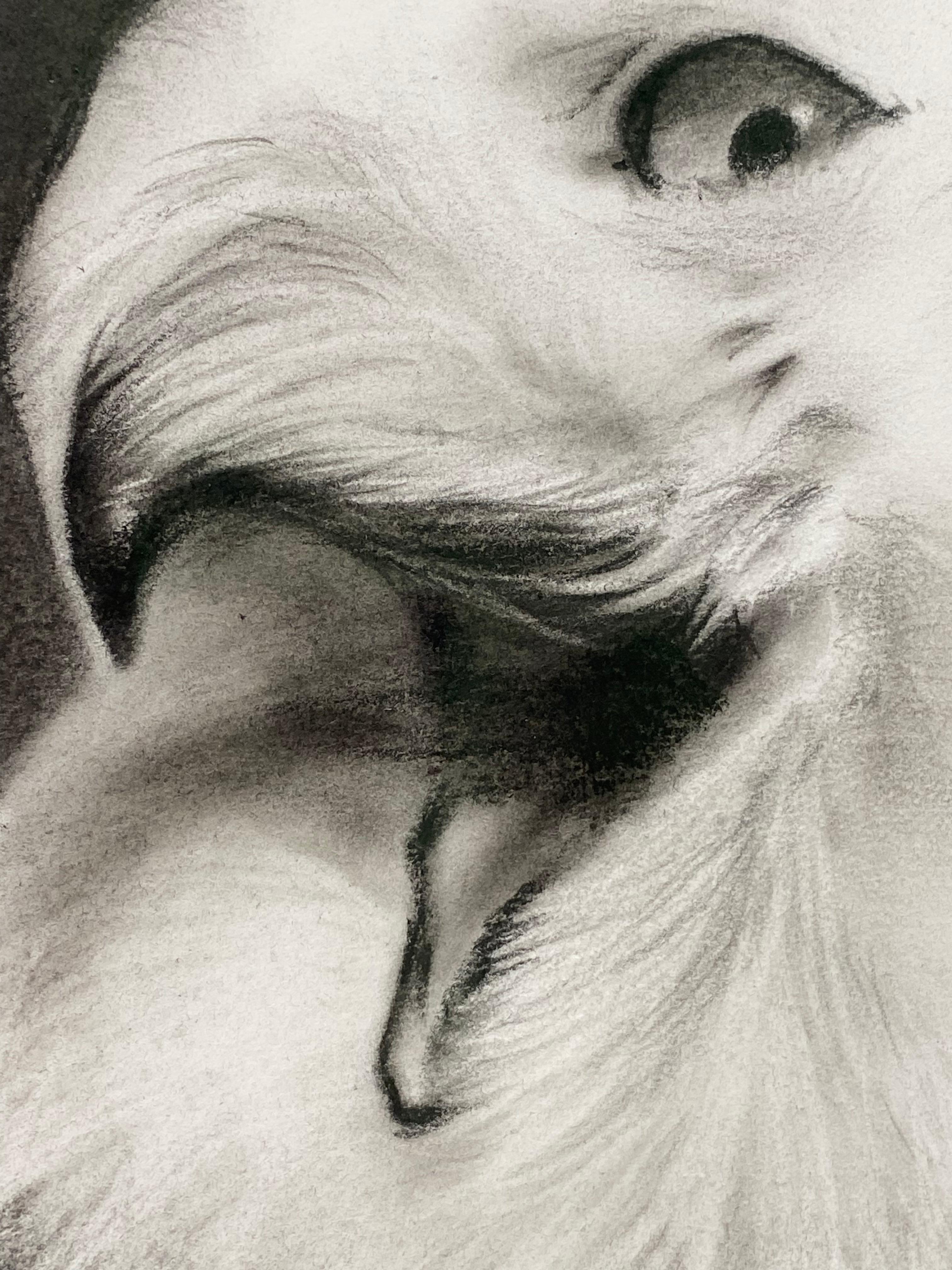 Canción para mí - Siglo XXI Dibujo contemporáneo a carboncillo de un búho en venta 4