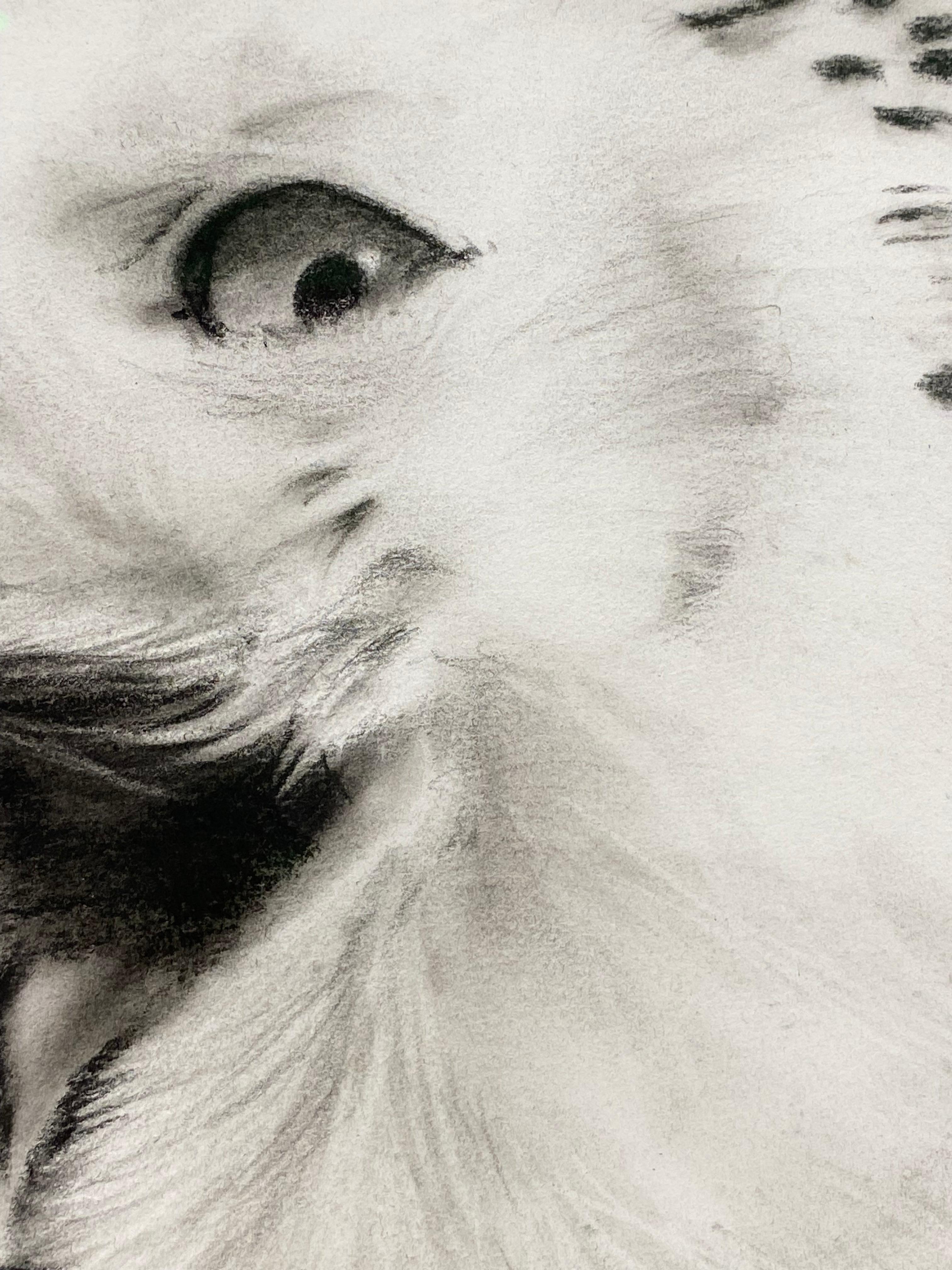 Canción para mí - Siglo XXI Dibujo contemporáneo a carboncillo de un búho en venta 5