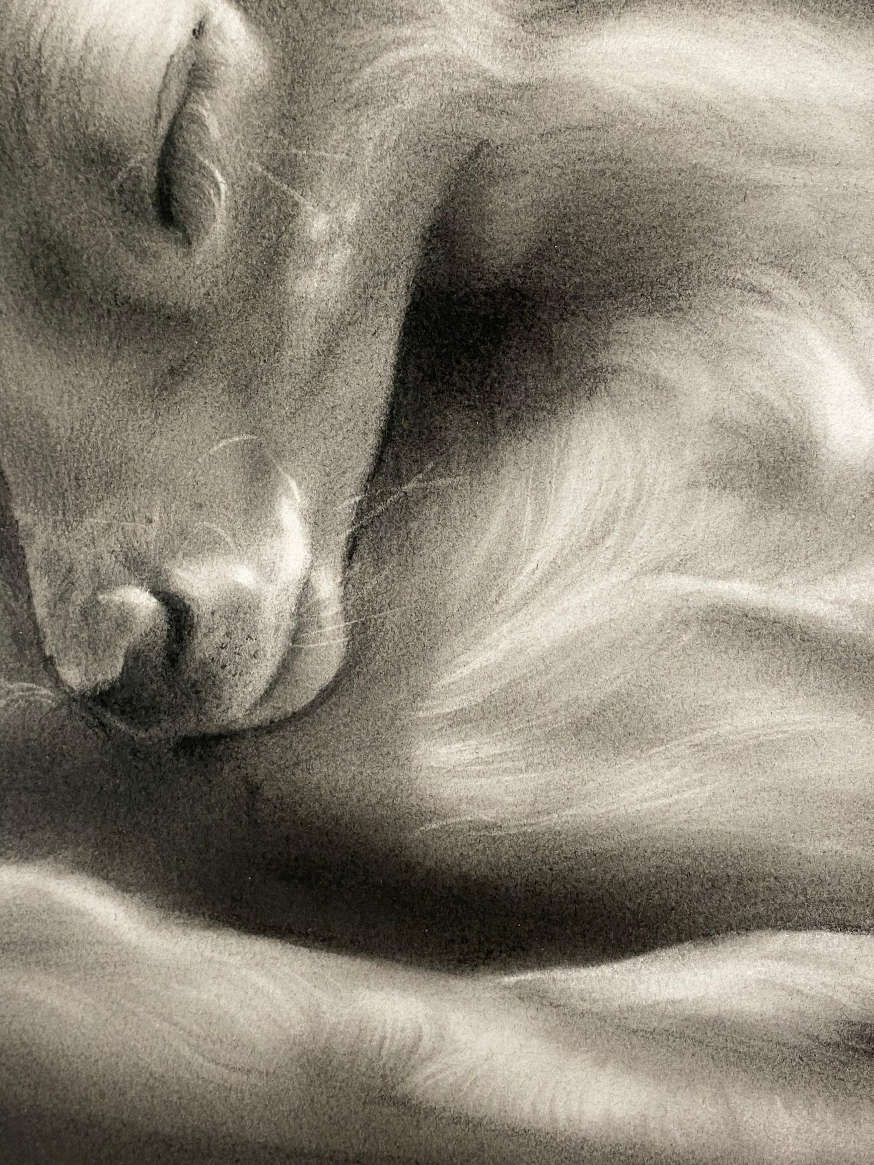 Rosanna Gaddoni (artista italiana)
El cervatillo
50 x 43 cm ( enmarcado en marco de madera con cristal de museo)
Medidas con marco incluido: 62 x 55 x 3 cm
Carboncillo sobre papel

La artista italiana Rosanna Gaddoni, residente en Holanda, se ha