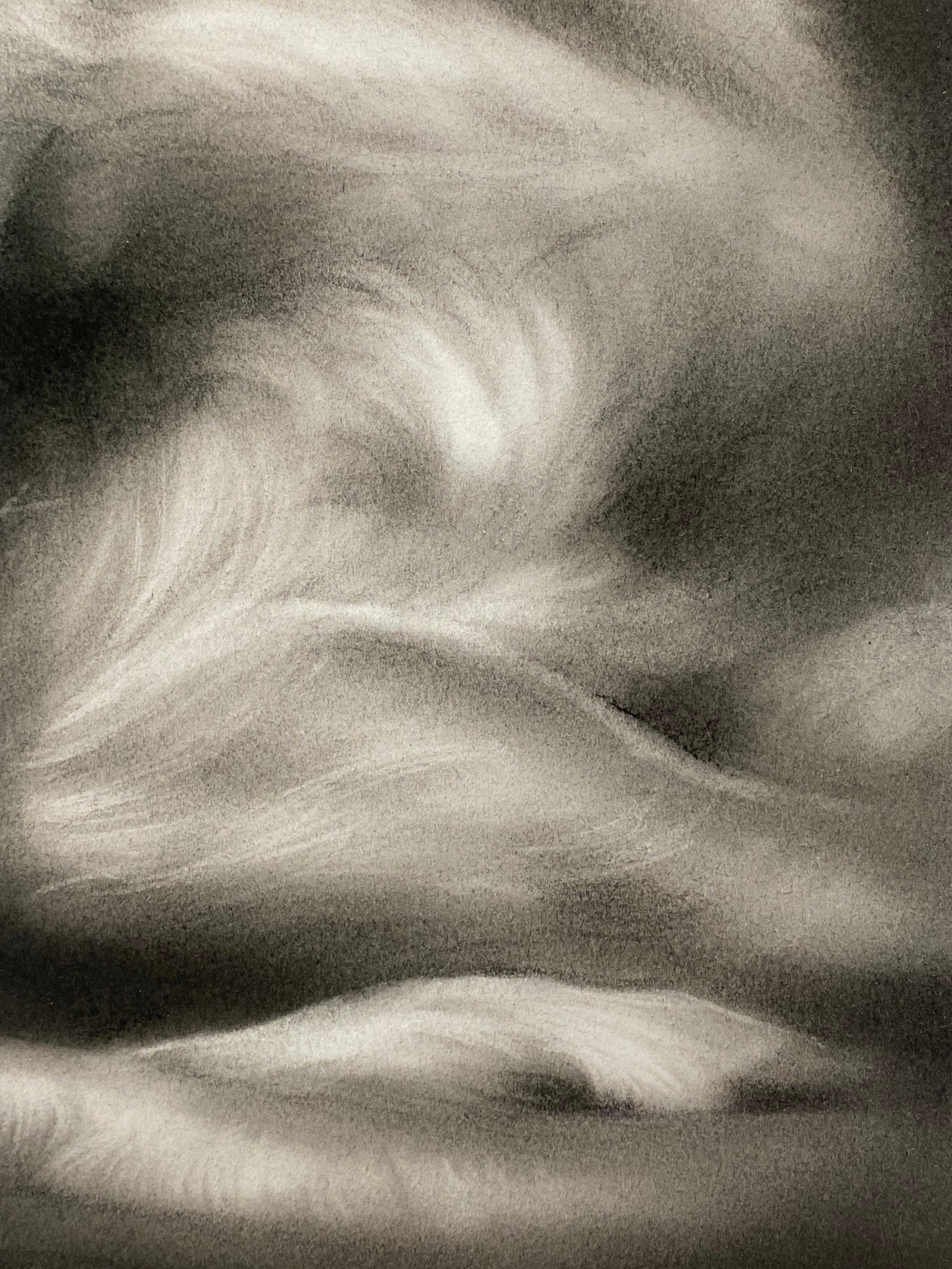 El cervatillo - Dibujo contemporáneo al carboncillo del siglo XXI de una querida en venta 1