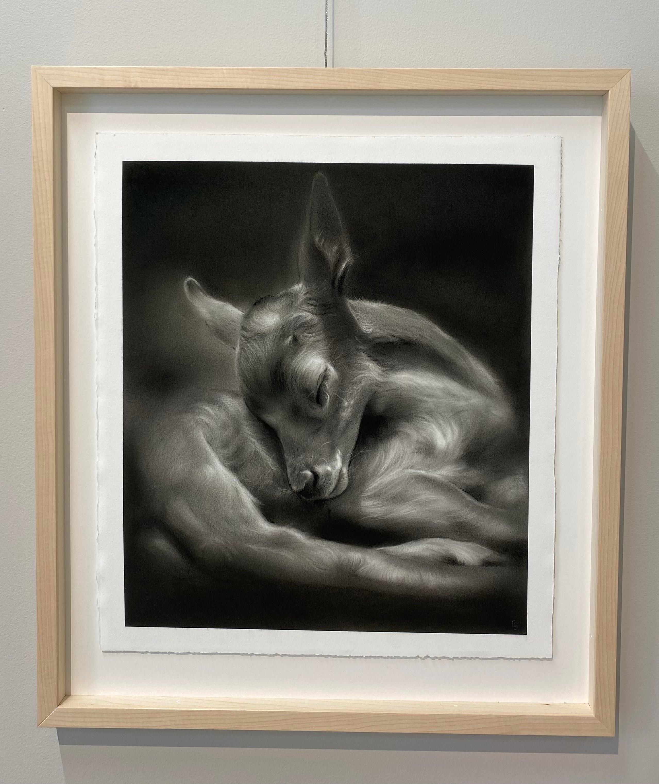 El cervatillo - Dibujo contemporáneo al carboncillo del siglo XXI de una querida - Art de Rosanna Gaddoni