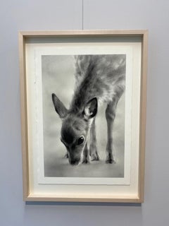 Eveil - 21st Century Contemporary Charcoal Drawing of a dear
