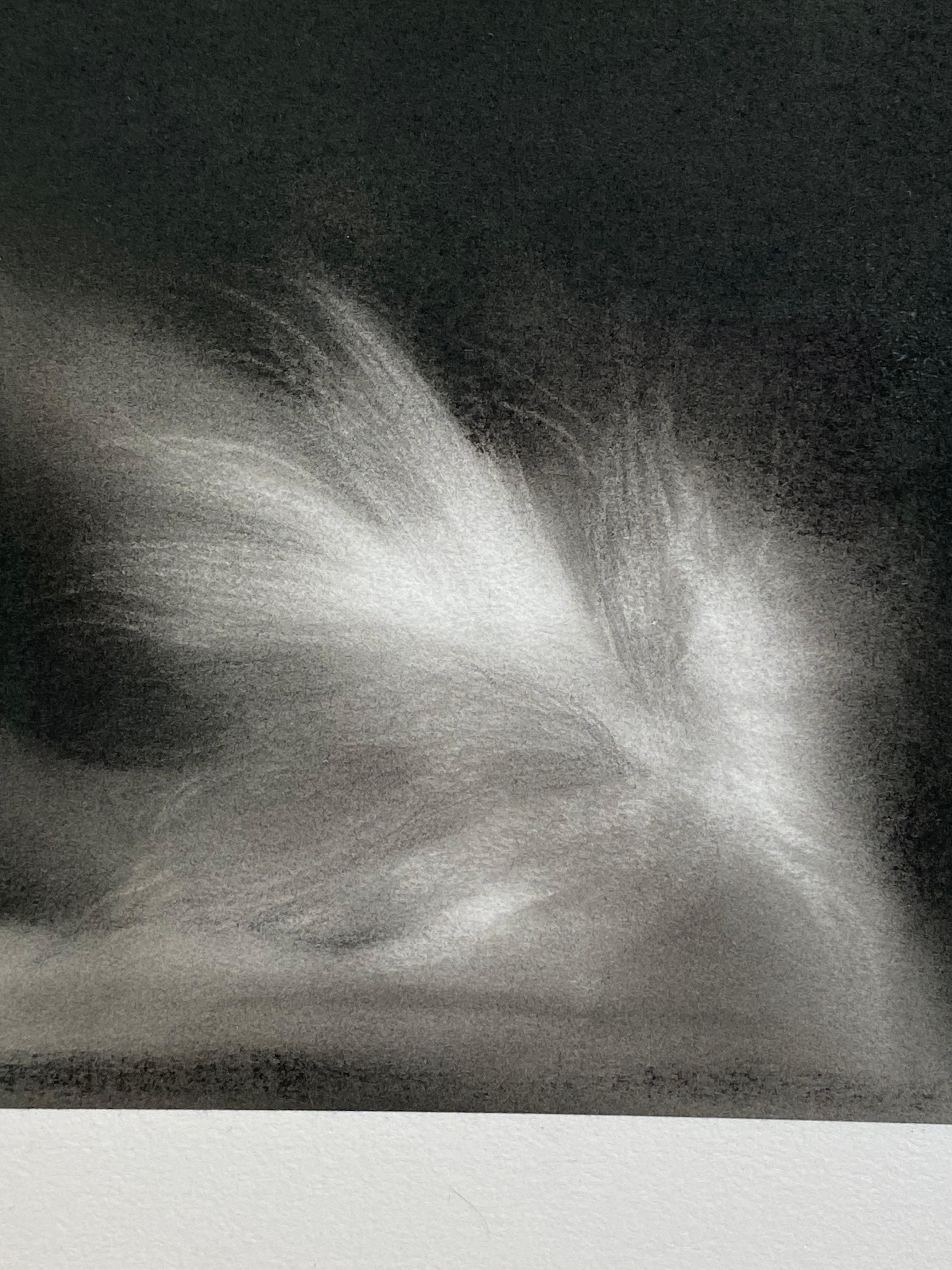 feline Mystique - Dessin au fusain contemporain du 21ème siècle d'un chat - Contemporain Art par Rosanna Gaddoni