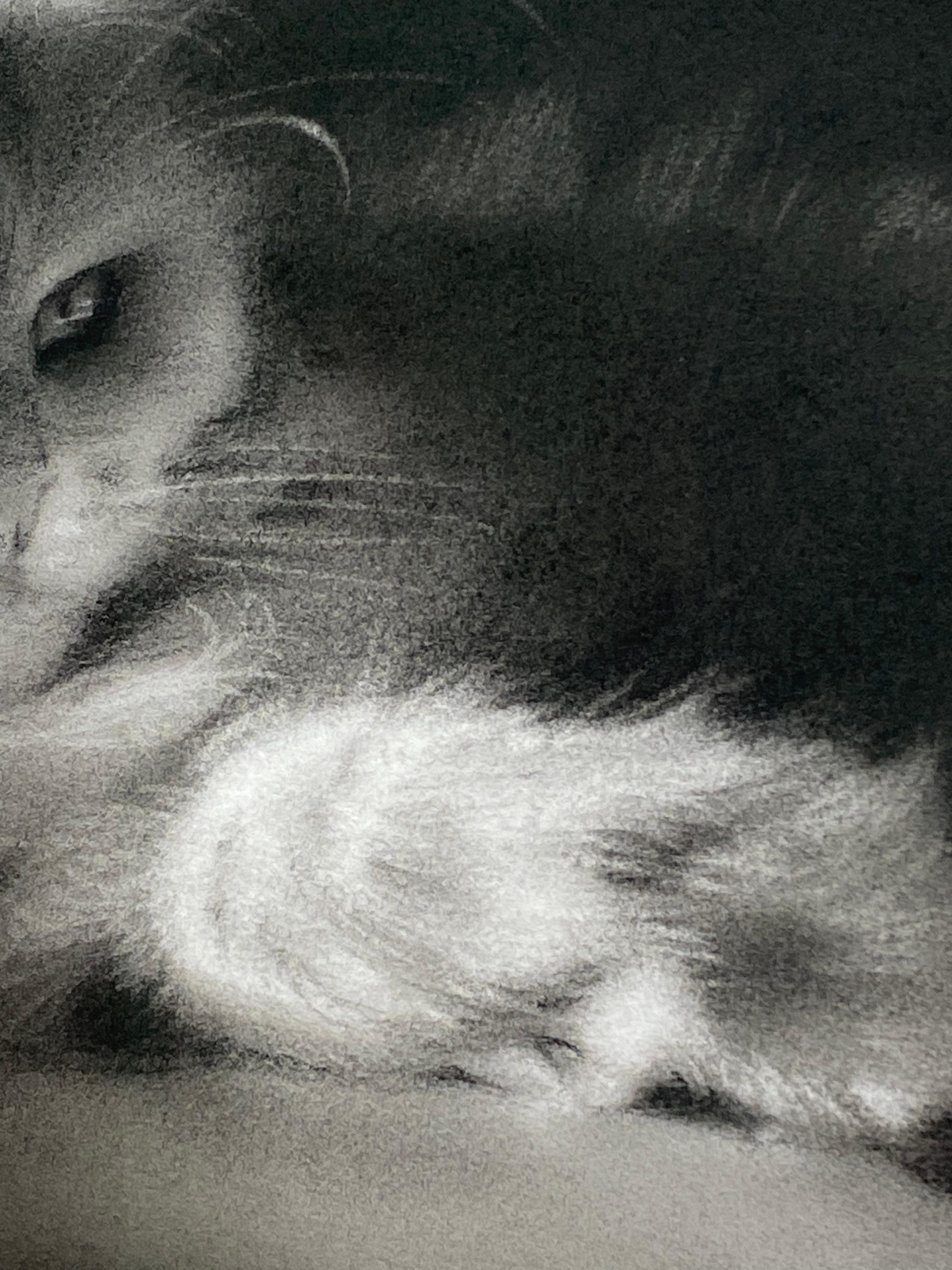 Rosanna Gaddoni (artiste italienne)
Feline Mystique
33 x 50 cm (encadré dans un cadre en bois avec verre de musée)
Dimensions avec le cadre inclus : 43 x 60 x 3 cm
Fusain sur papier

L'artiste italienne Rosanna Gaddoni, résidant aux Pays-Bas, est